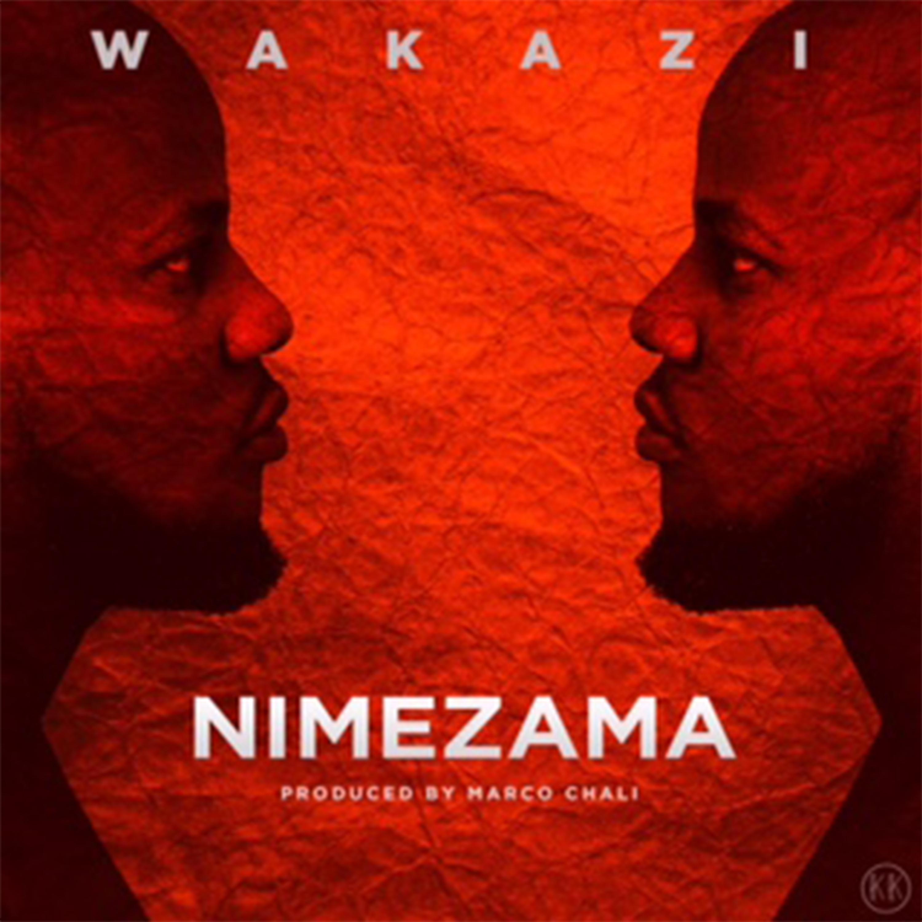 Постер альбома Nimezama