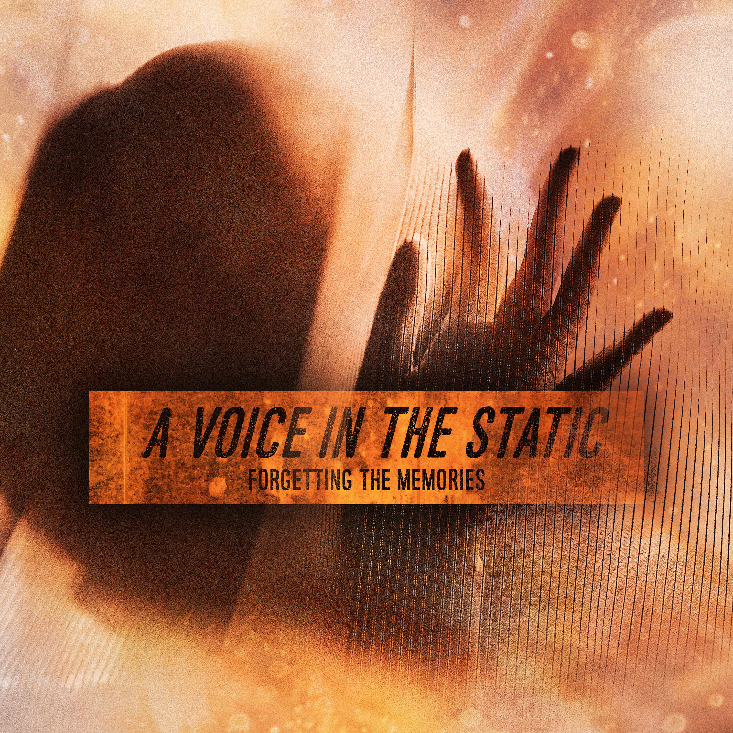 Постер альбома A Voice in the Static