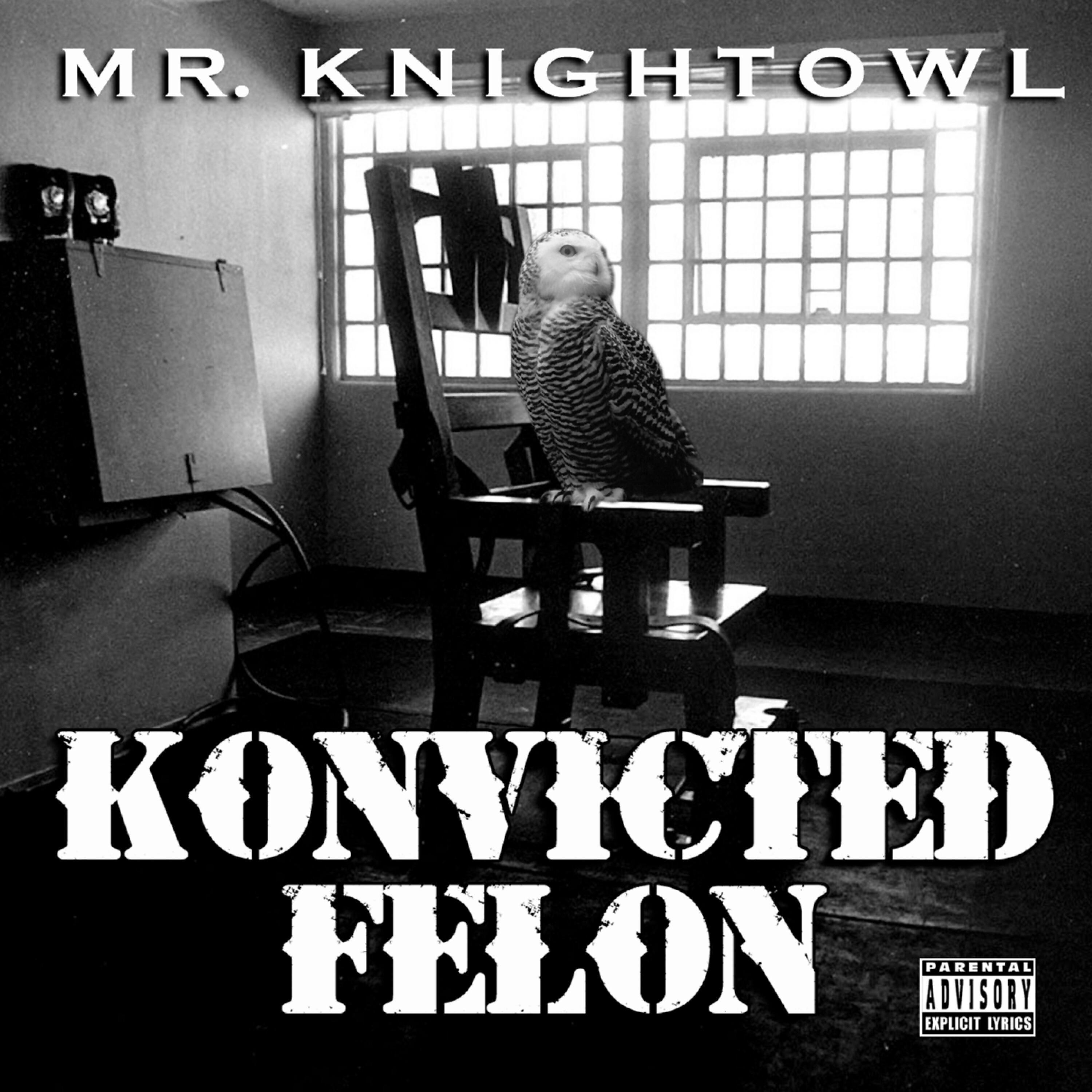 Mr. Knightowl - Mr. Big Stuff