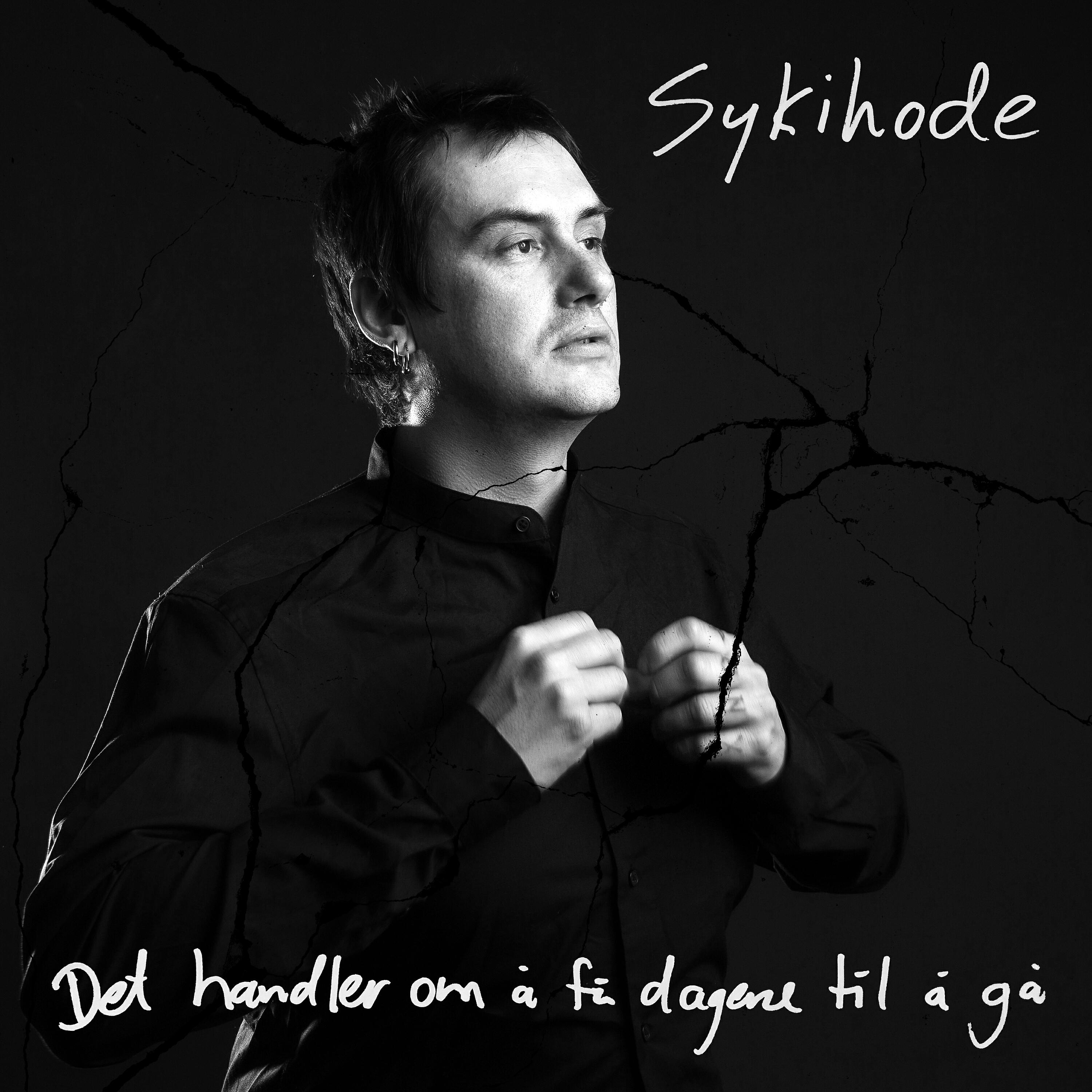 Sykihode - Fugleperspektiv