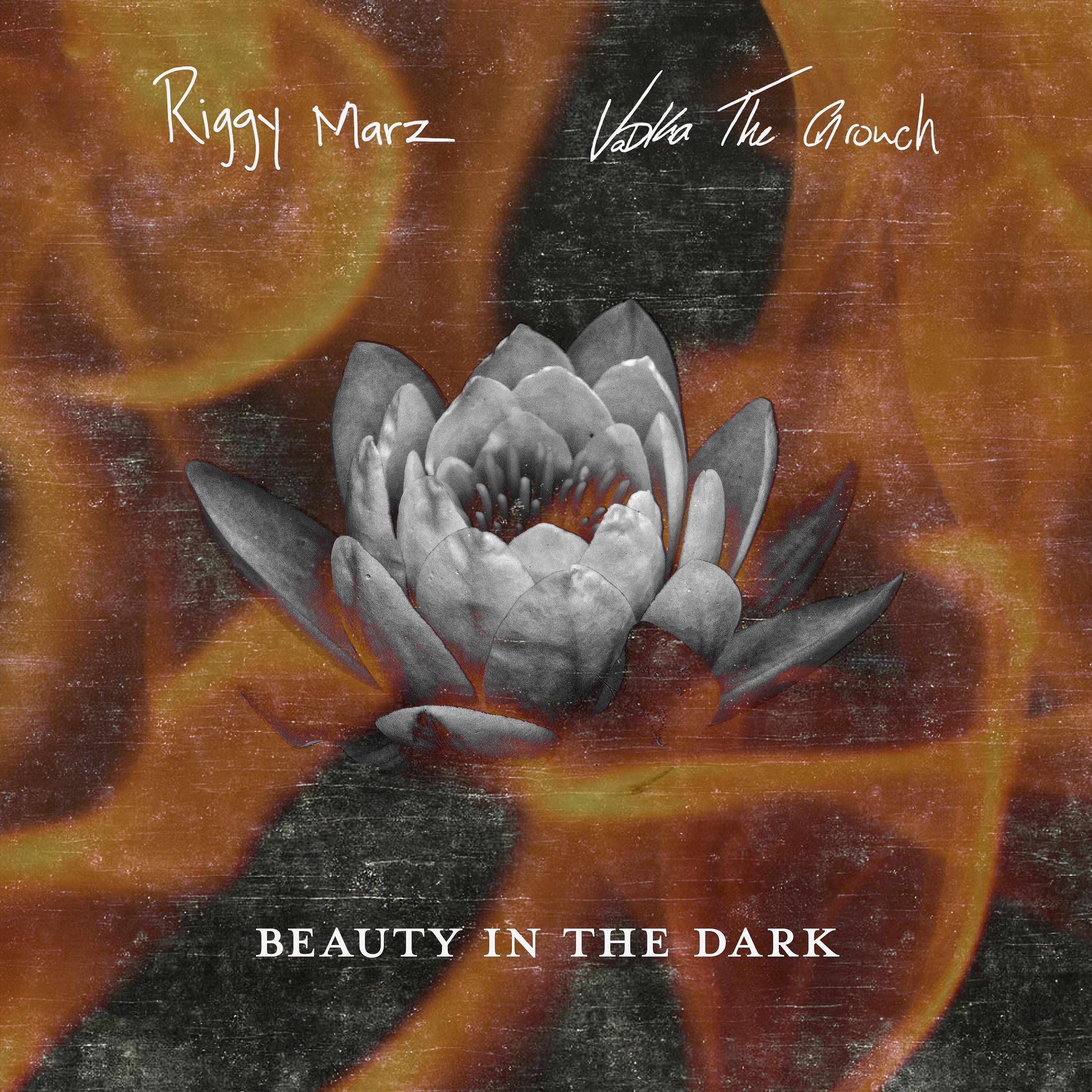 Постер альбома Beauty in the Dark