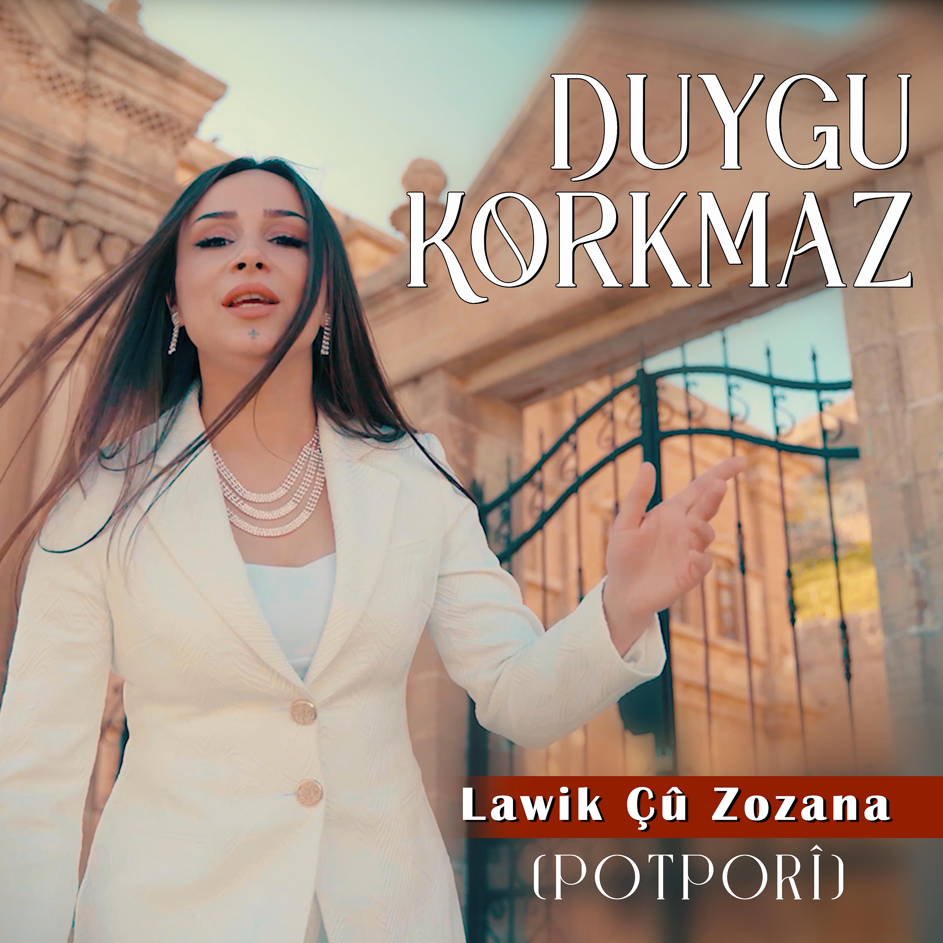 Постер альбома Lawik Çû Zozana (Potporî)