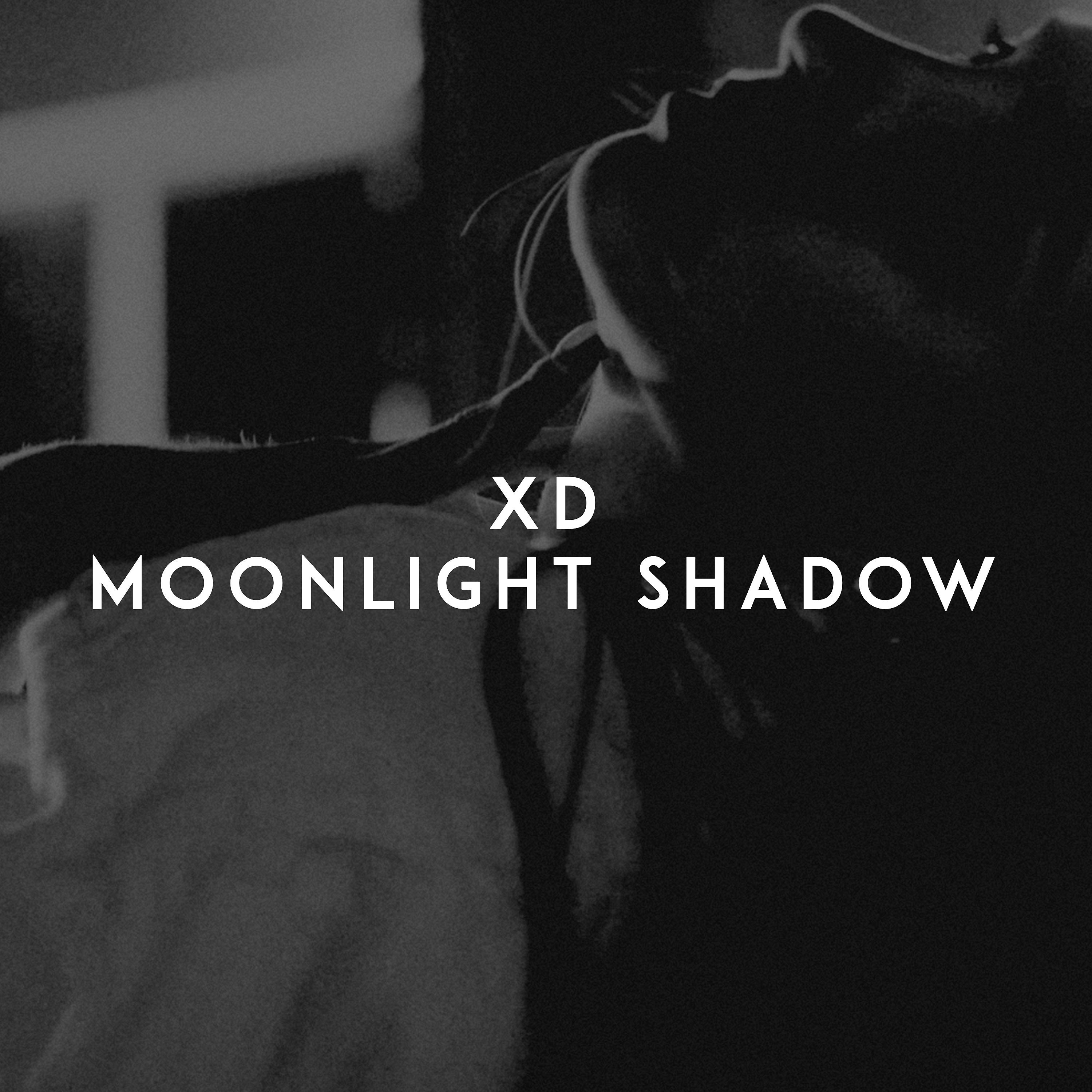 Постер альбома Moonlight Shadow