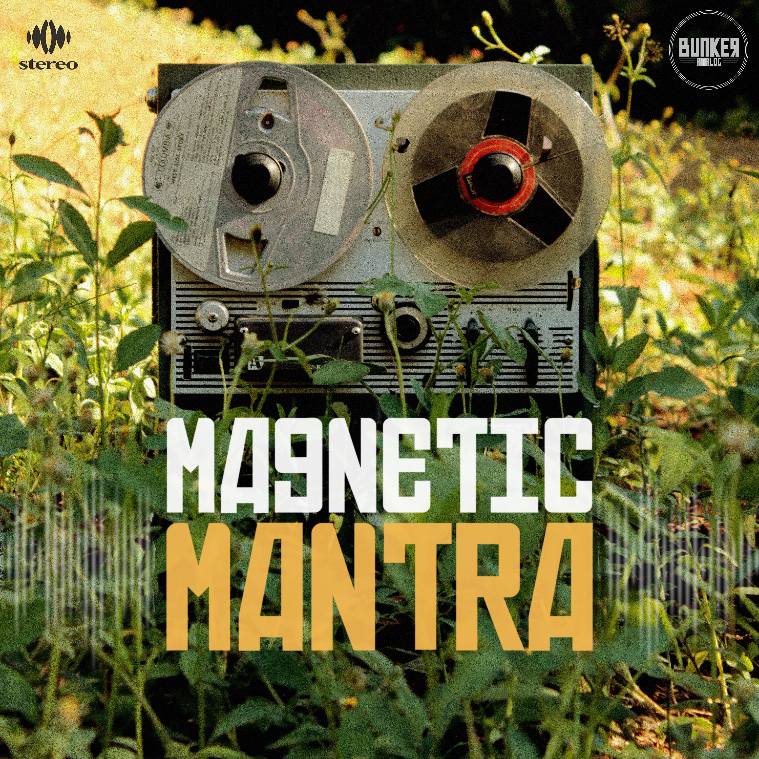 Постер альбома Magnetic Mantra