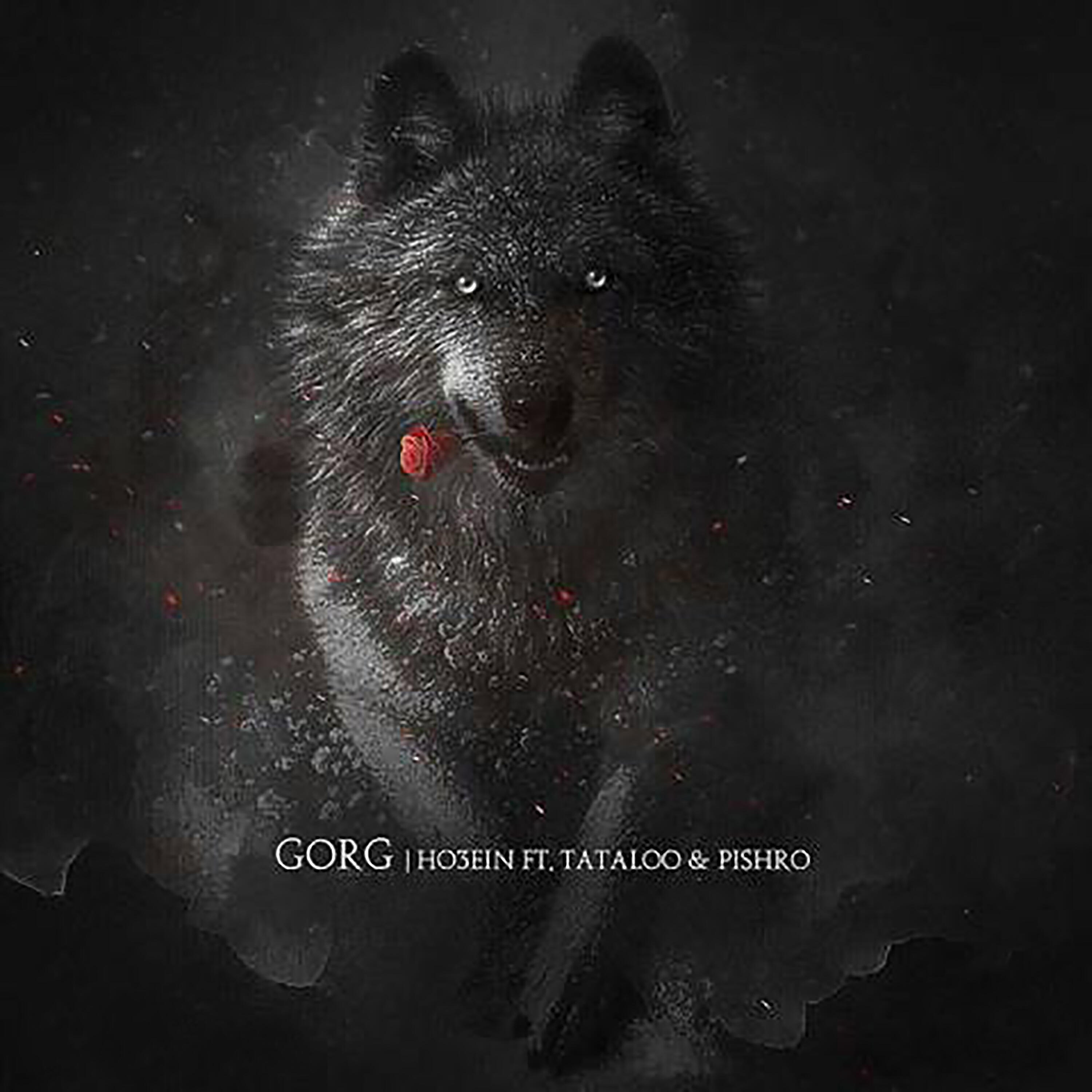 Ho3ein - Gorg