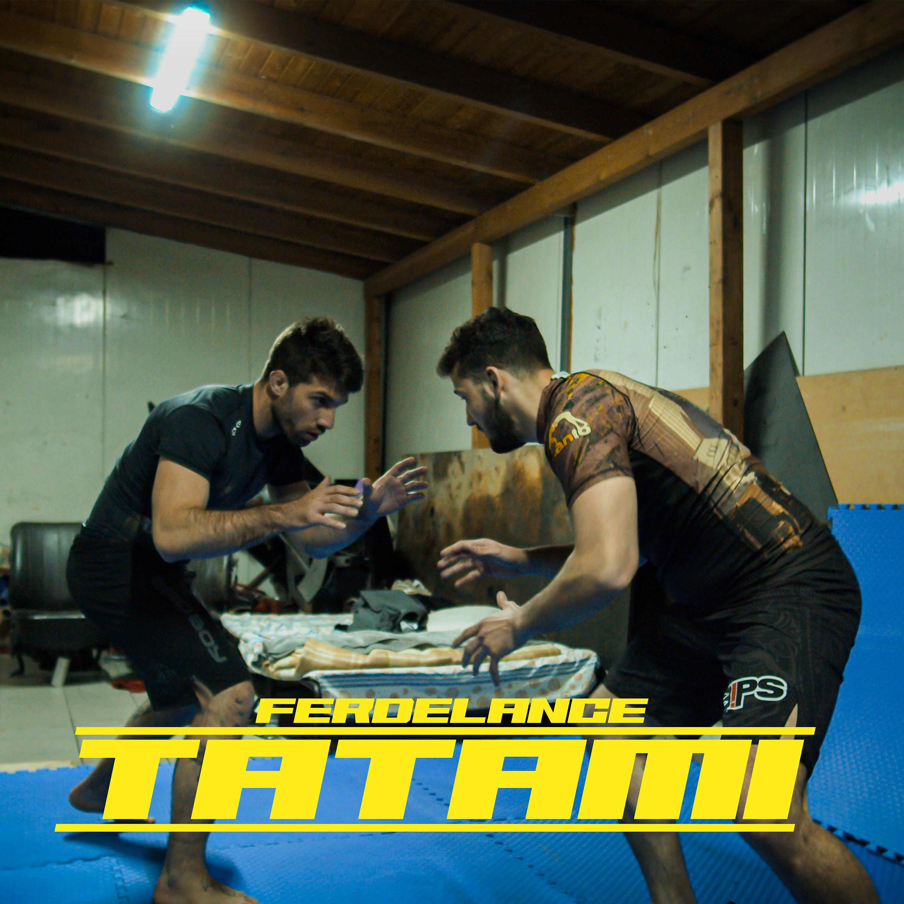 Постер альбома Tatami