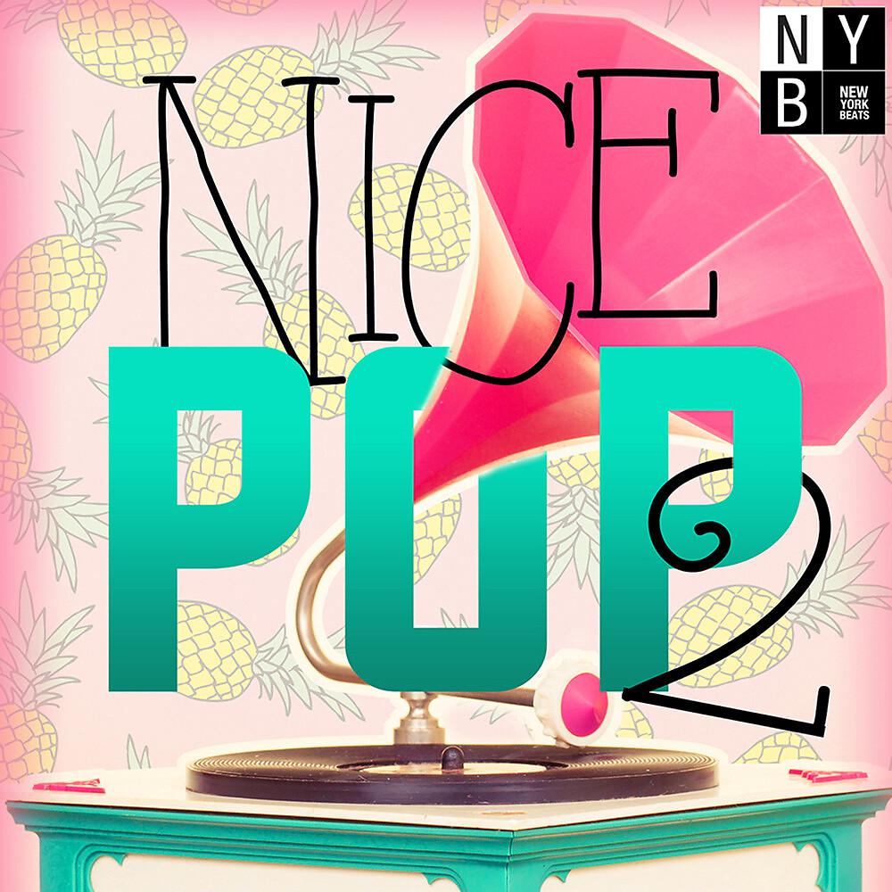 Постер альбома Nice Pop 2