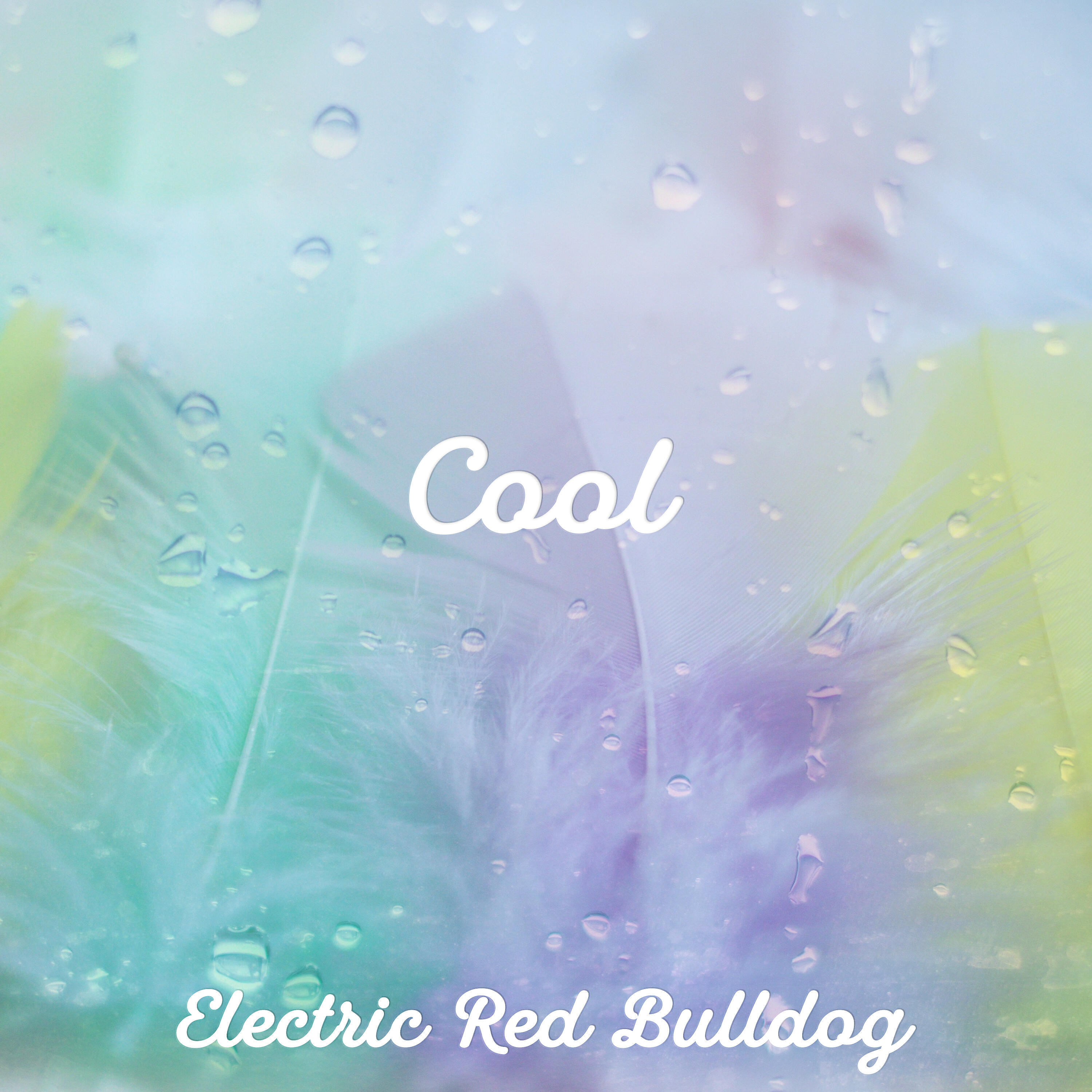 Electric Red Bulldog - Corporate Inspiration Background