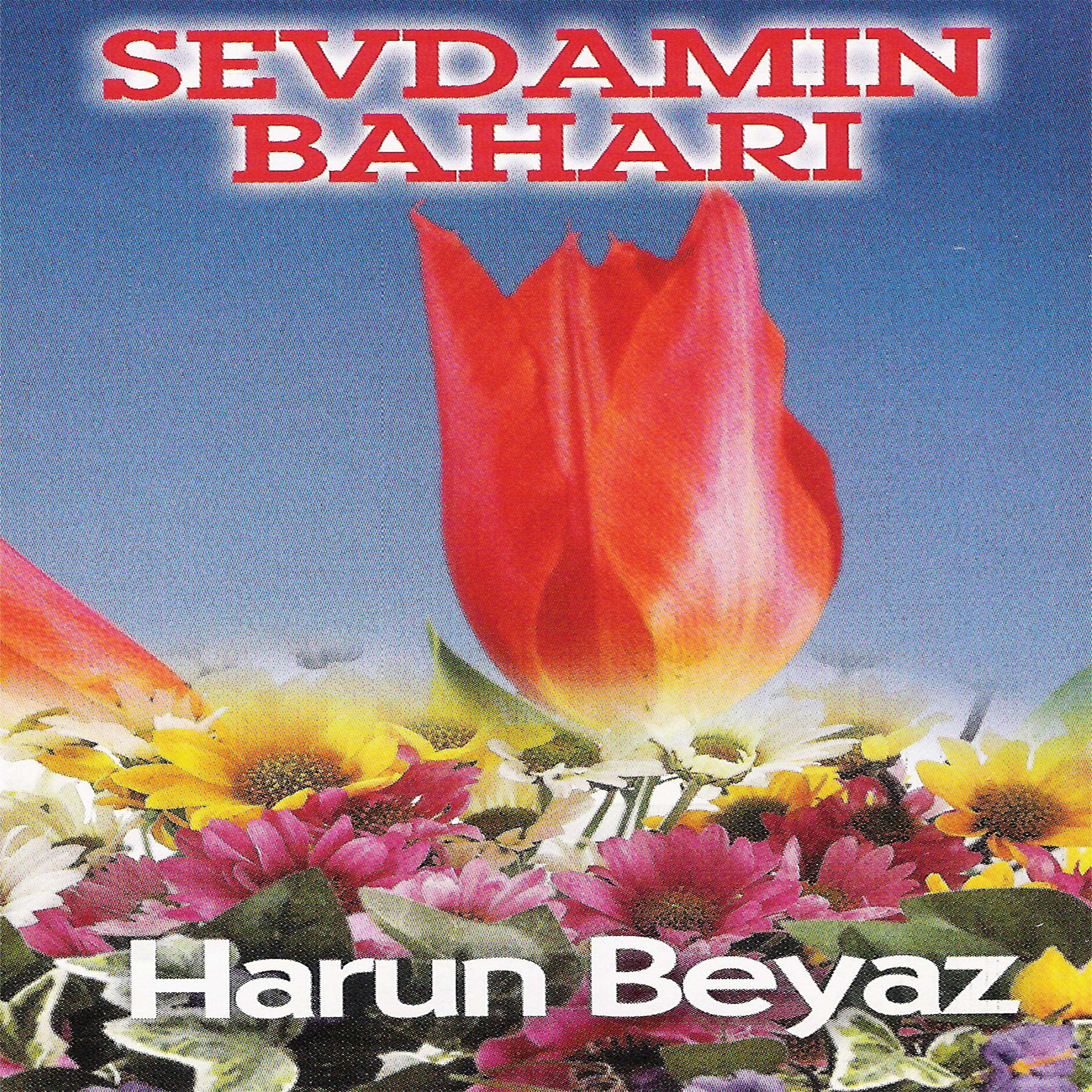Постер альбома Sevdamın Baharı