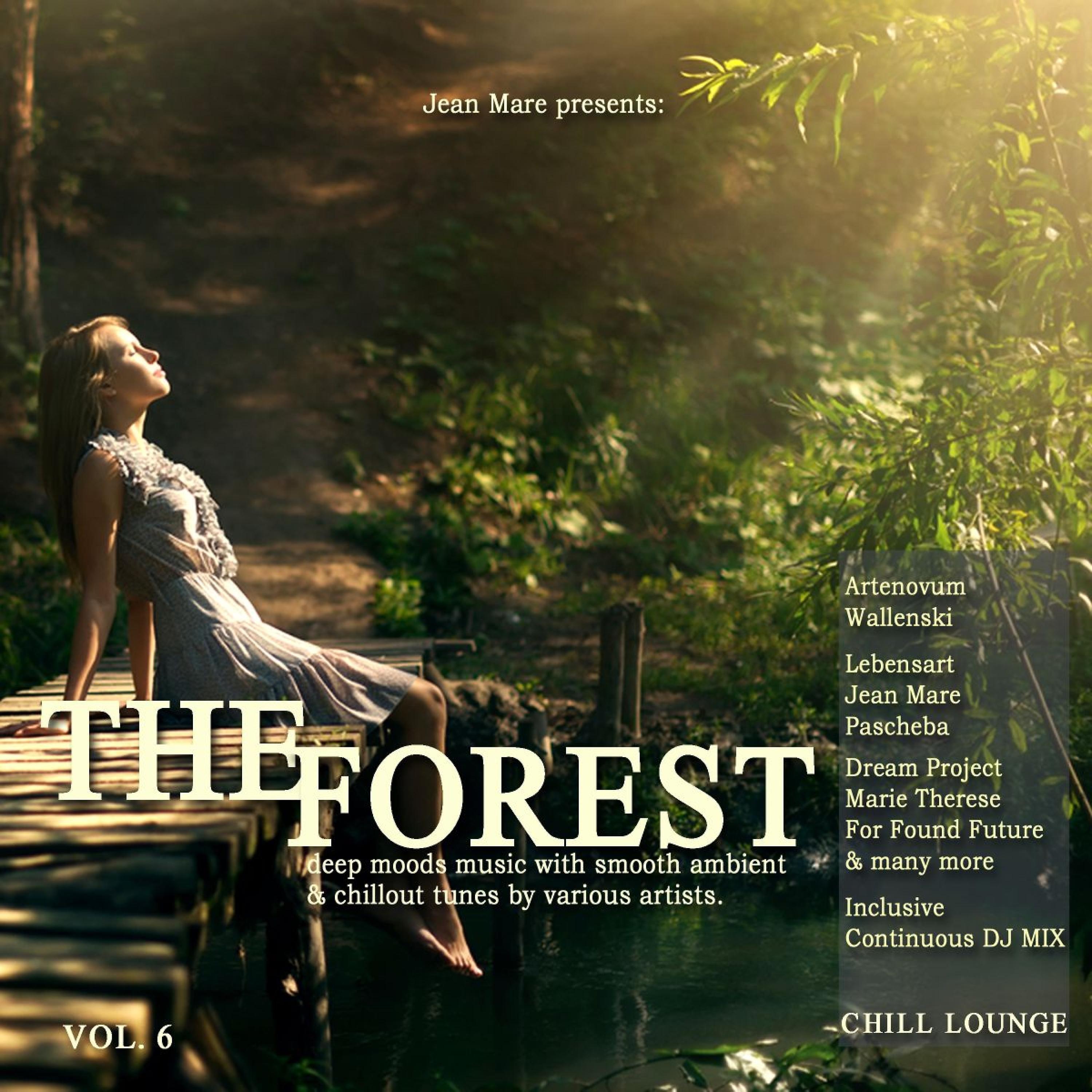 Постер альбома The Forest Chill Lounge, Vol. 6 (Deep Moods Music with Smooth Ambient & Chillout Tunes)