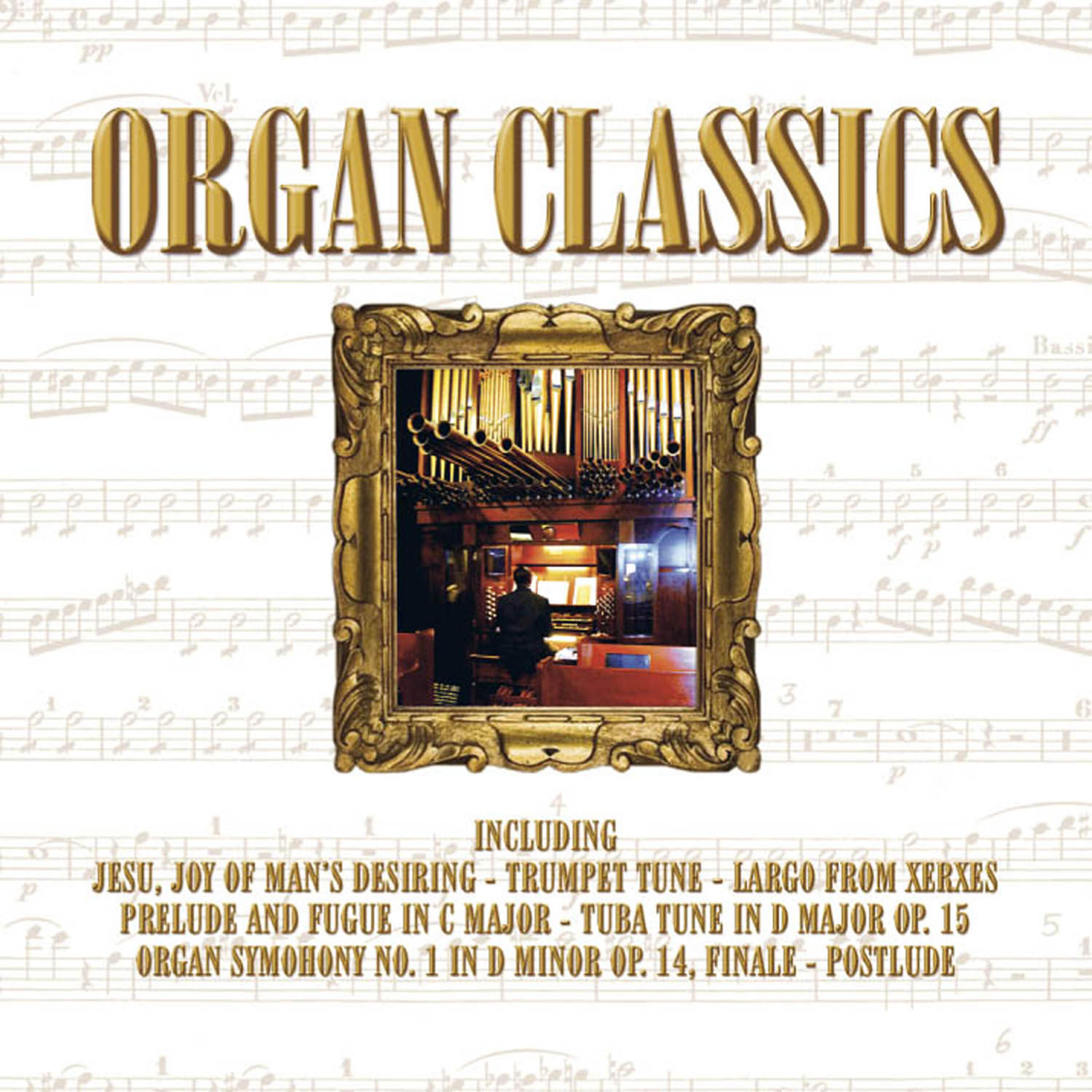 Paul Rayner-Brown - Toccata In D Minor Bwv565