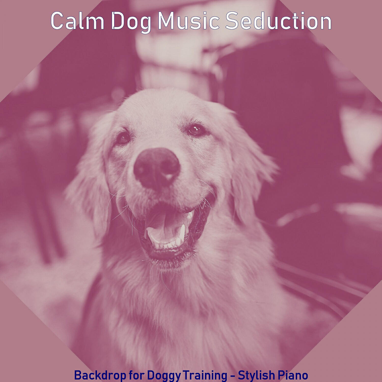 Calm Dog Music Seduction - Sparkling Calming Pups