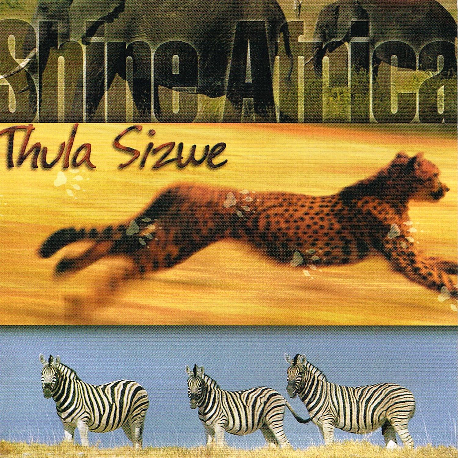 Постер альбома Shine Africa