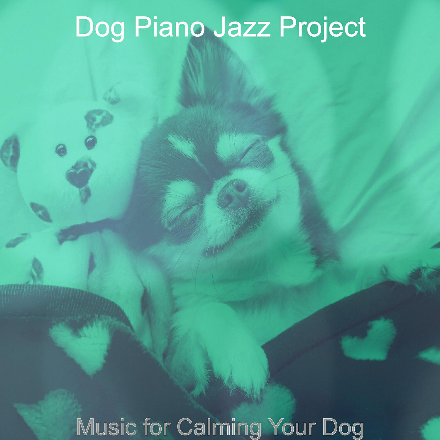 Dog Piano Jazz Project - Distinguished Backdrops for Calming Your Dog
