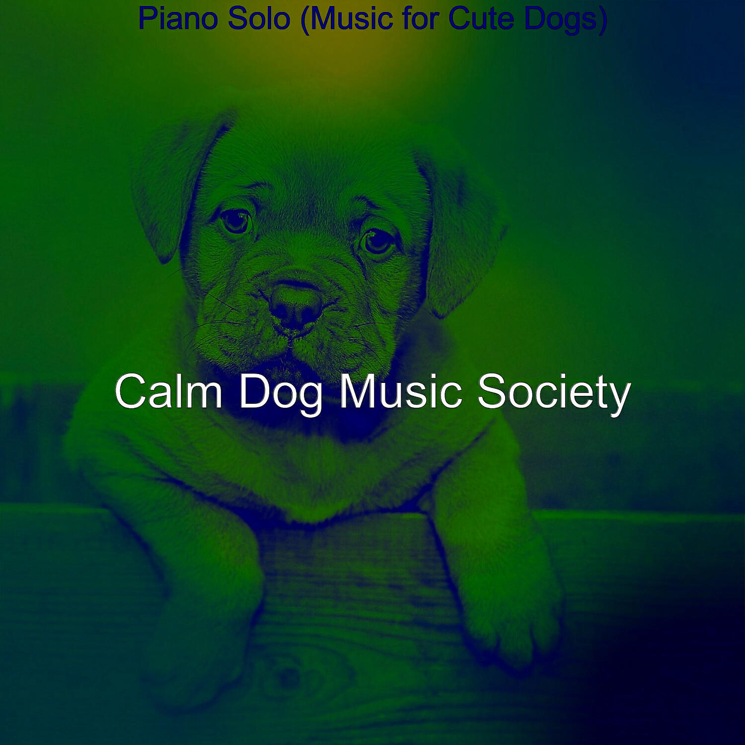 Calm Dog Music Society - Calm Moods for Walking Doggies