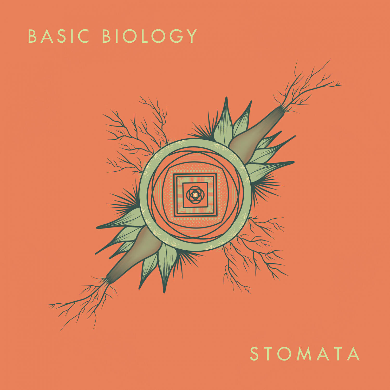 Basic Biology - Don't Feed