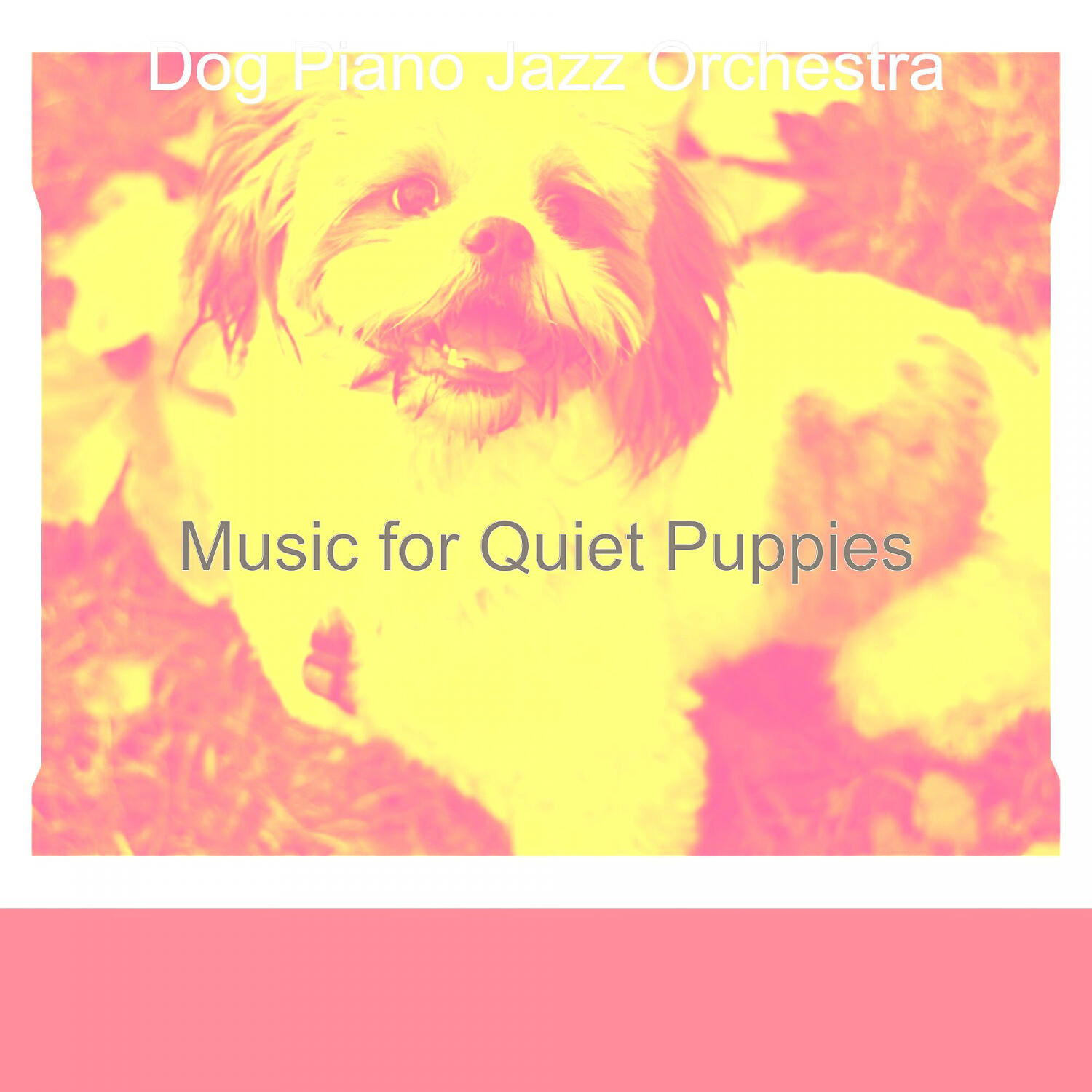 Dog Piano Jazz Orchestra - Vintage Backdrops for Quiet Puppies