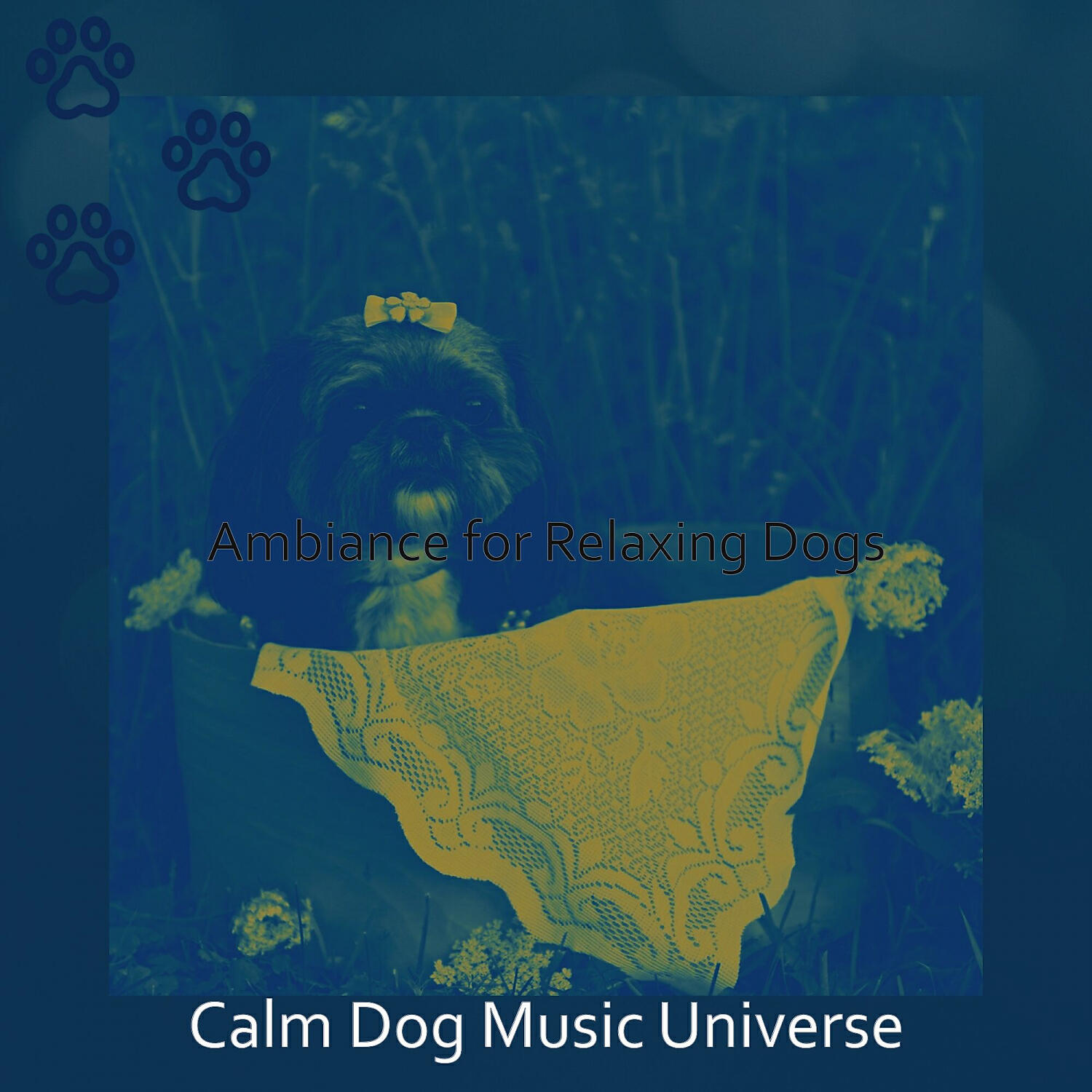 Calm Dog Music Universe - Charming Moods for Cute Dogs