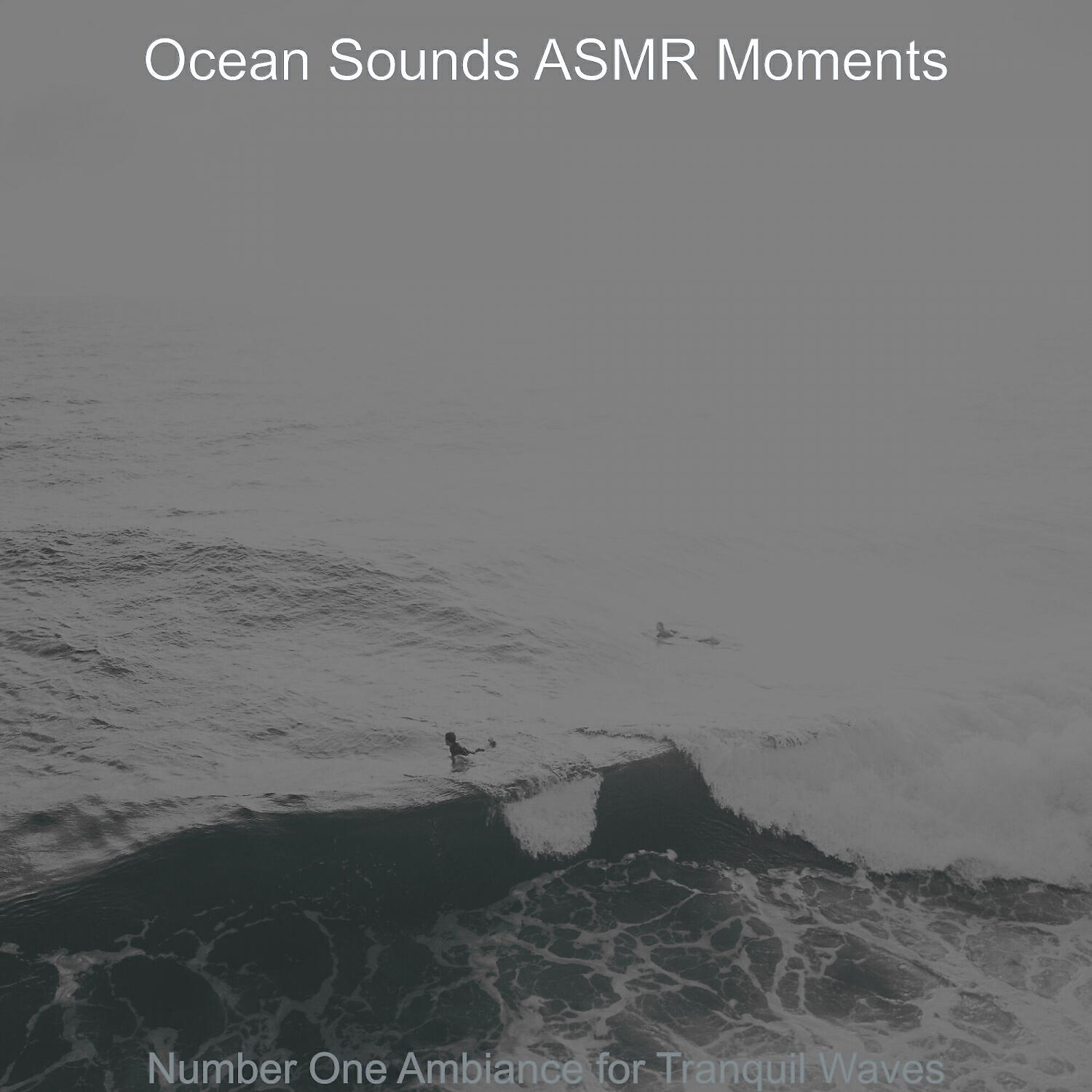 Ocean Sounds ASMR Moments - Serene Moods for Calming Oceans