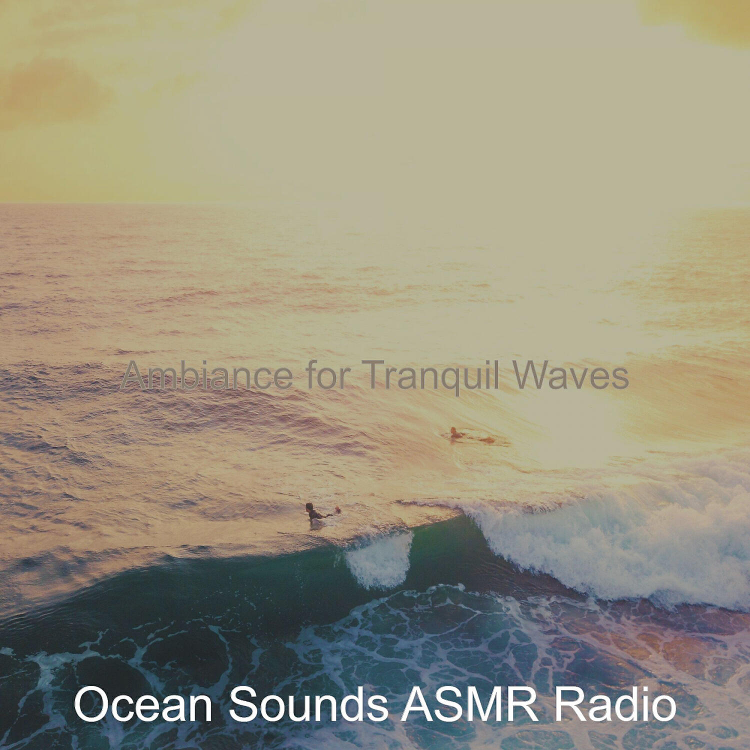 Ocean Sounds ASMR Radio - Sublime Ambience for Tranquil Waves