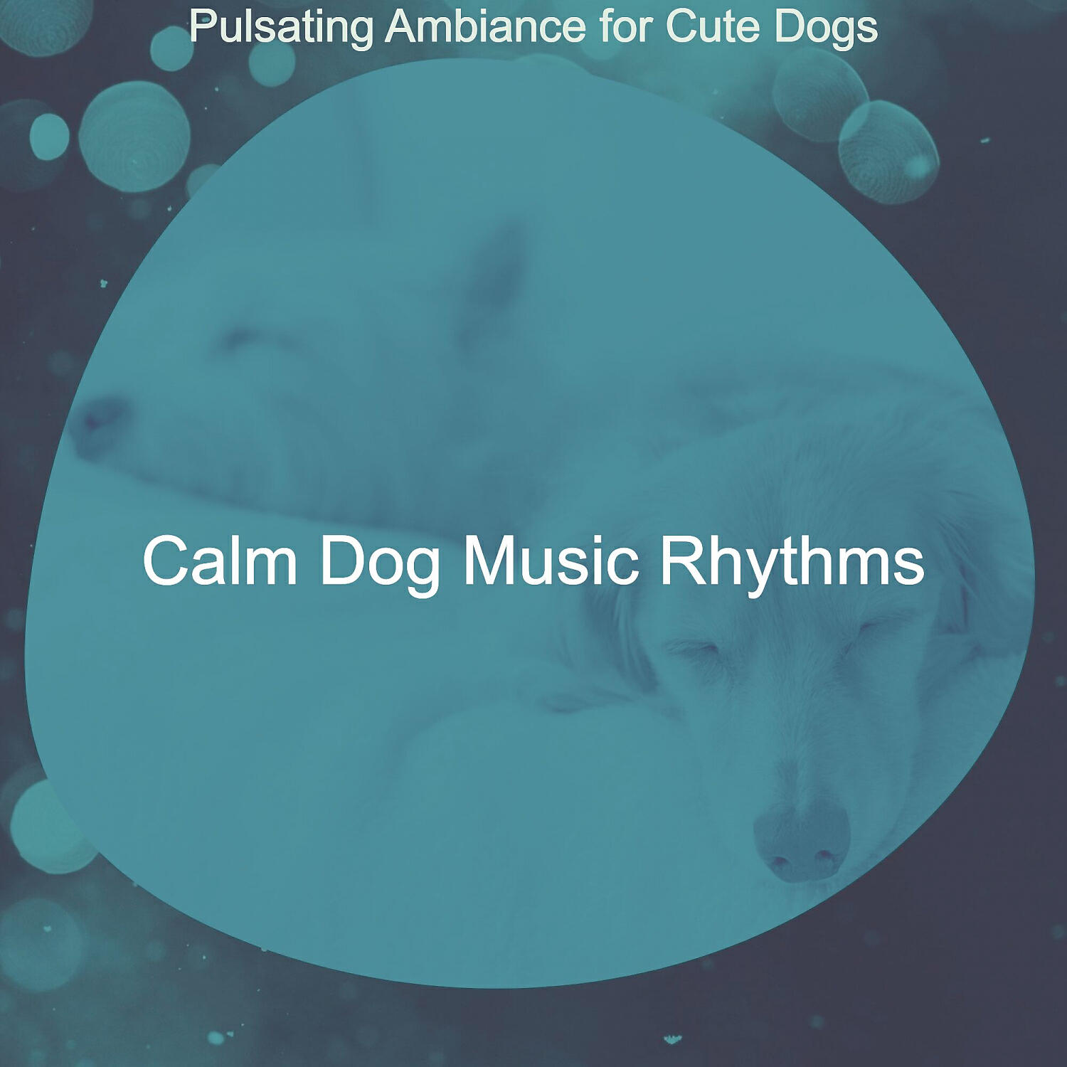 Calm Dog Music Rhythms - Subtle Moods for Relaxing Dogs