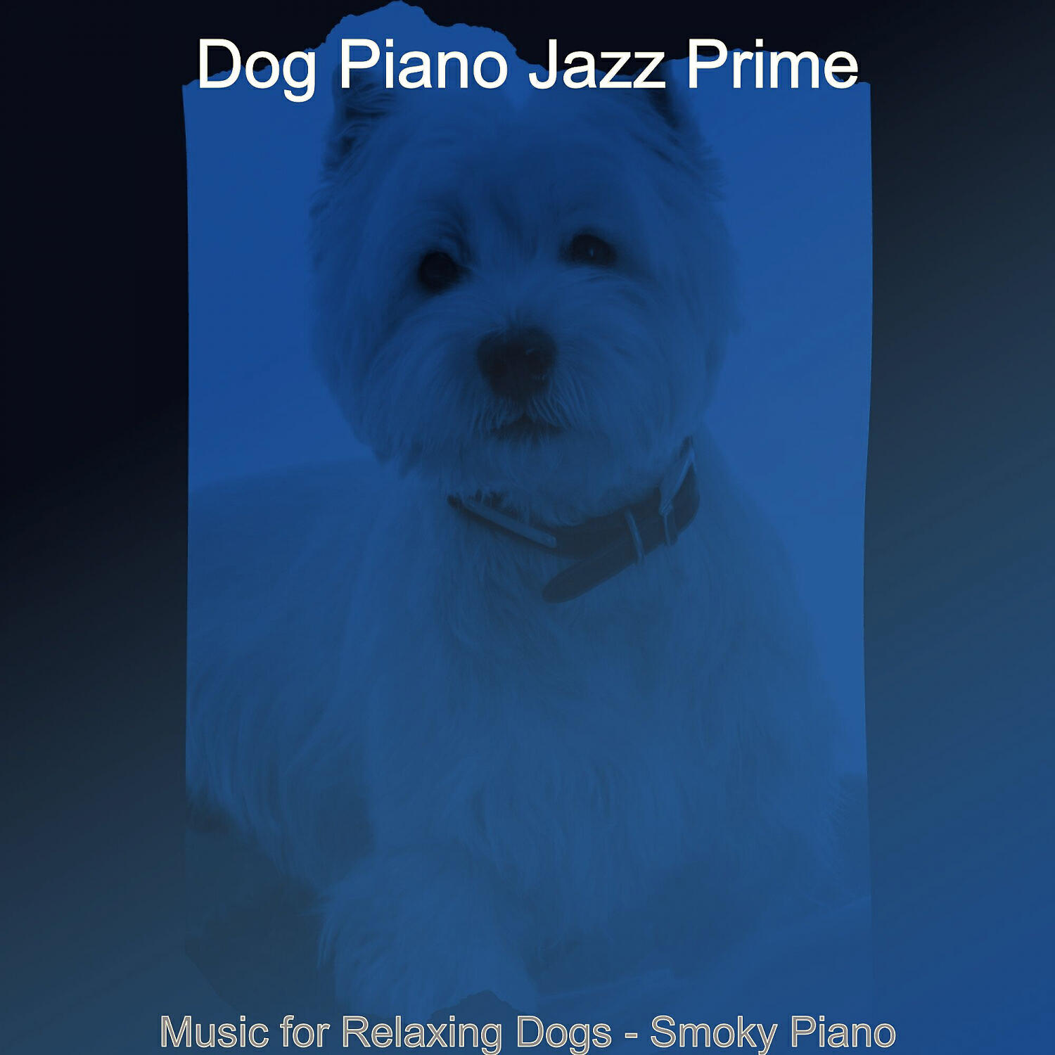 Dog Piano Jazz Prime - Sultry Solo Piano Jazz - Vibe for Calming Your Dog