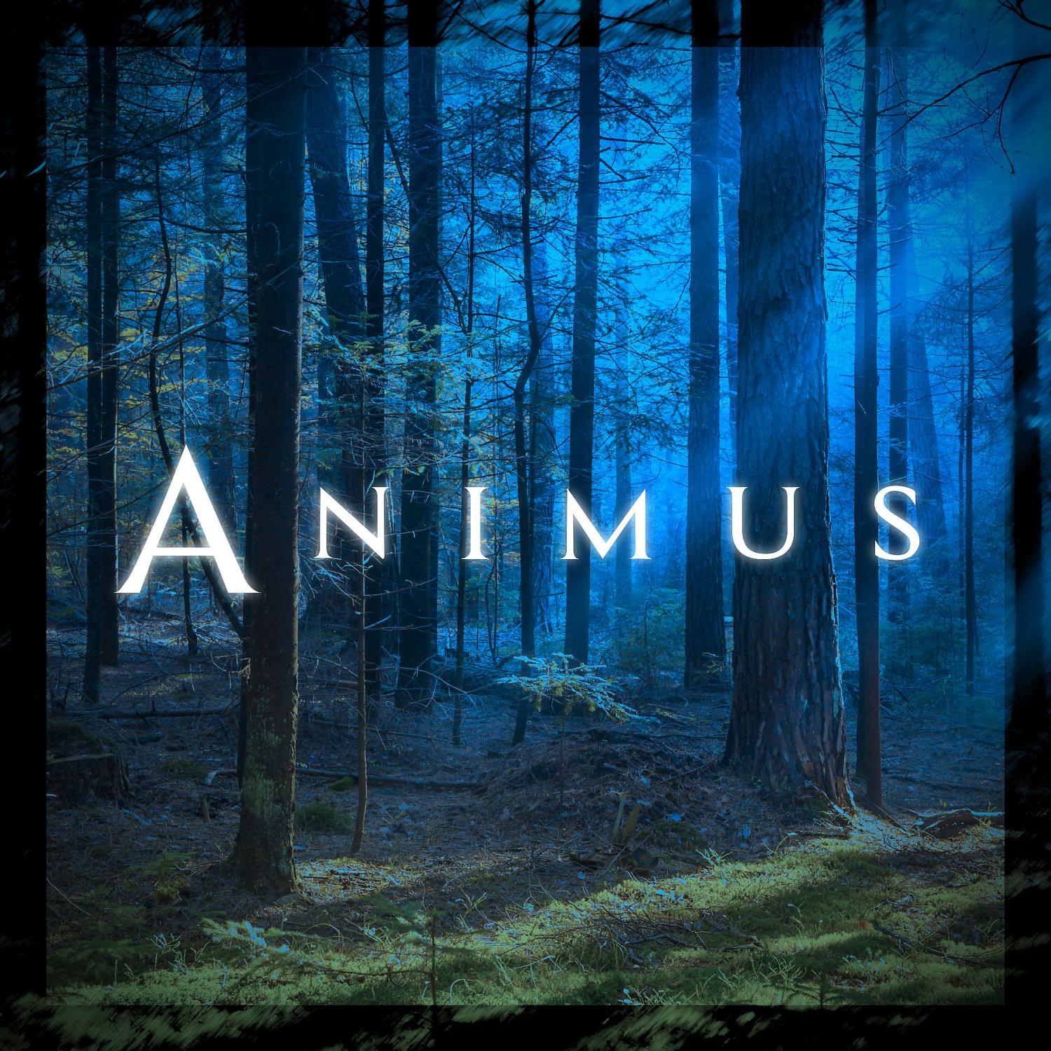 Постер альбома Animus