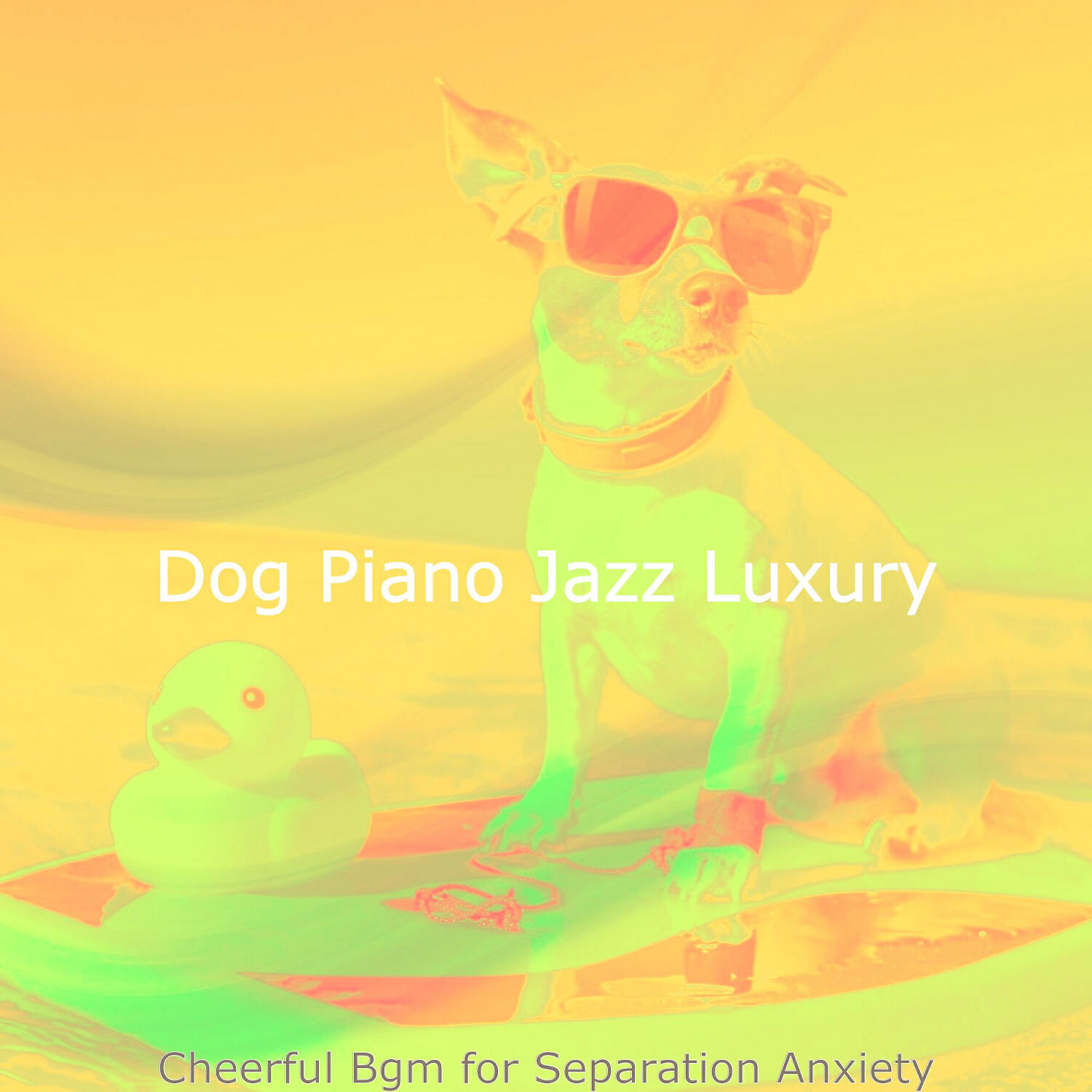 Dog Piano Jazz Luxury - Magnificent Backdrops for Sleeping Dogs