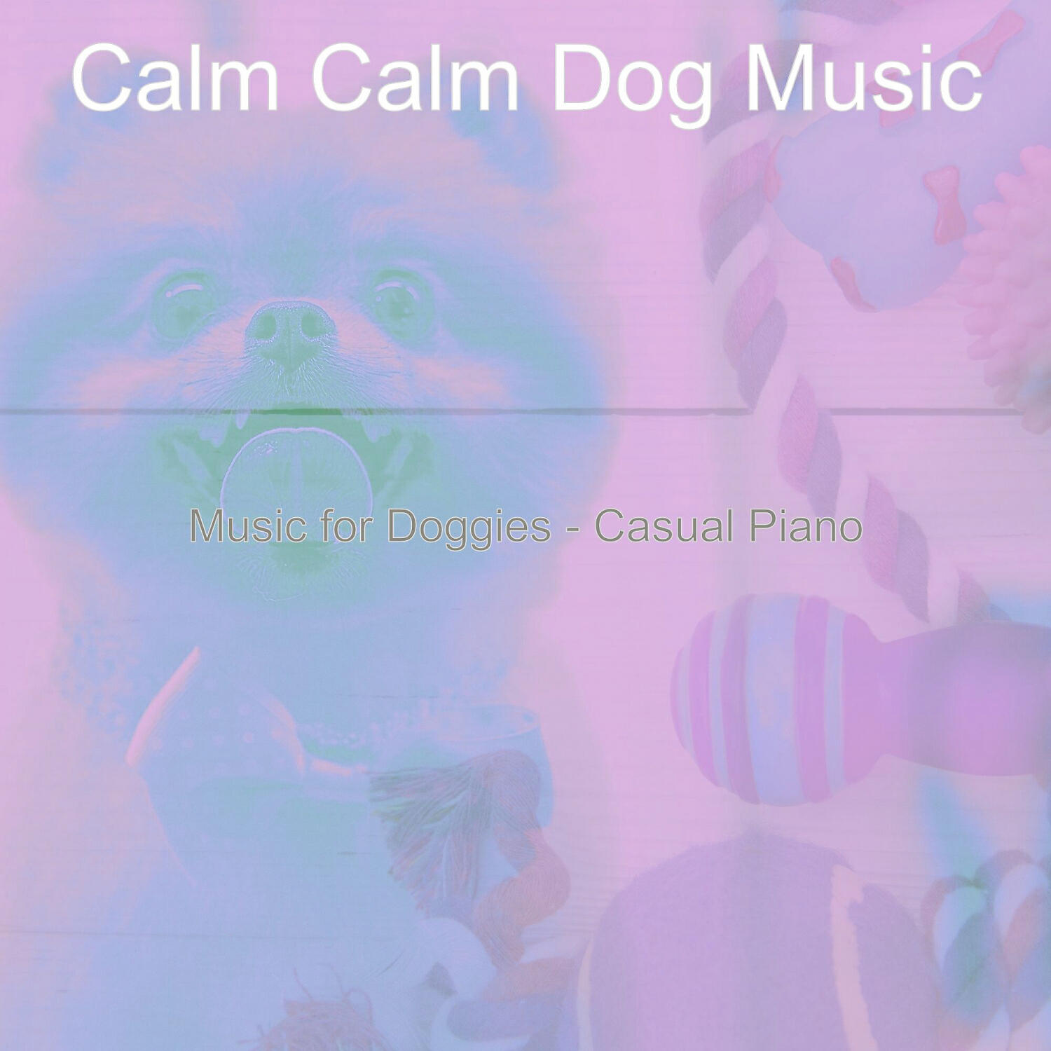 Calm Calm Dog Music - Retro Ambience for Walking Doggies
