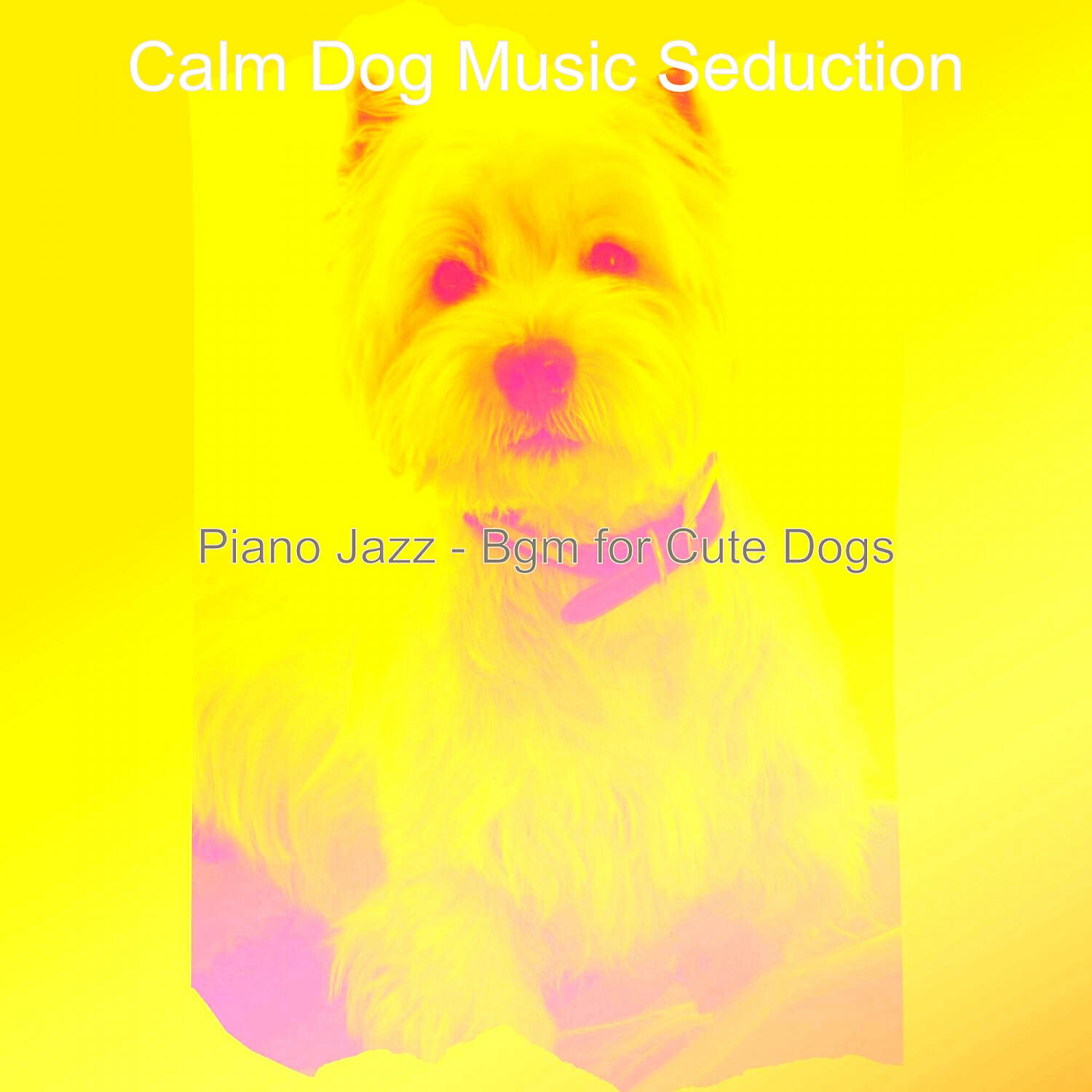 Calm Dog Music Seduction - Amazing Music for Calming Pups