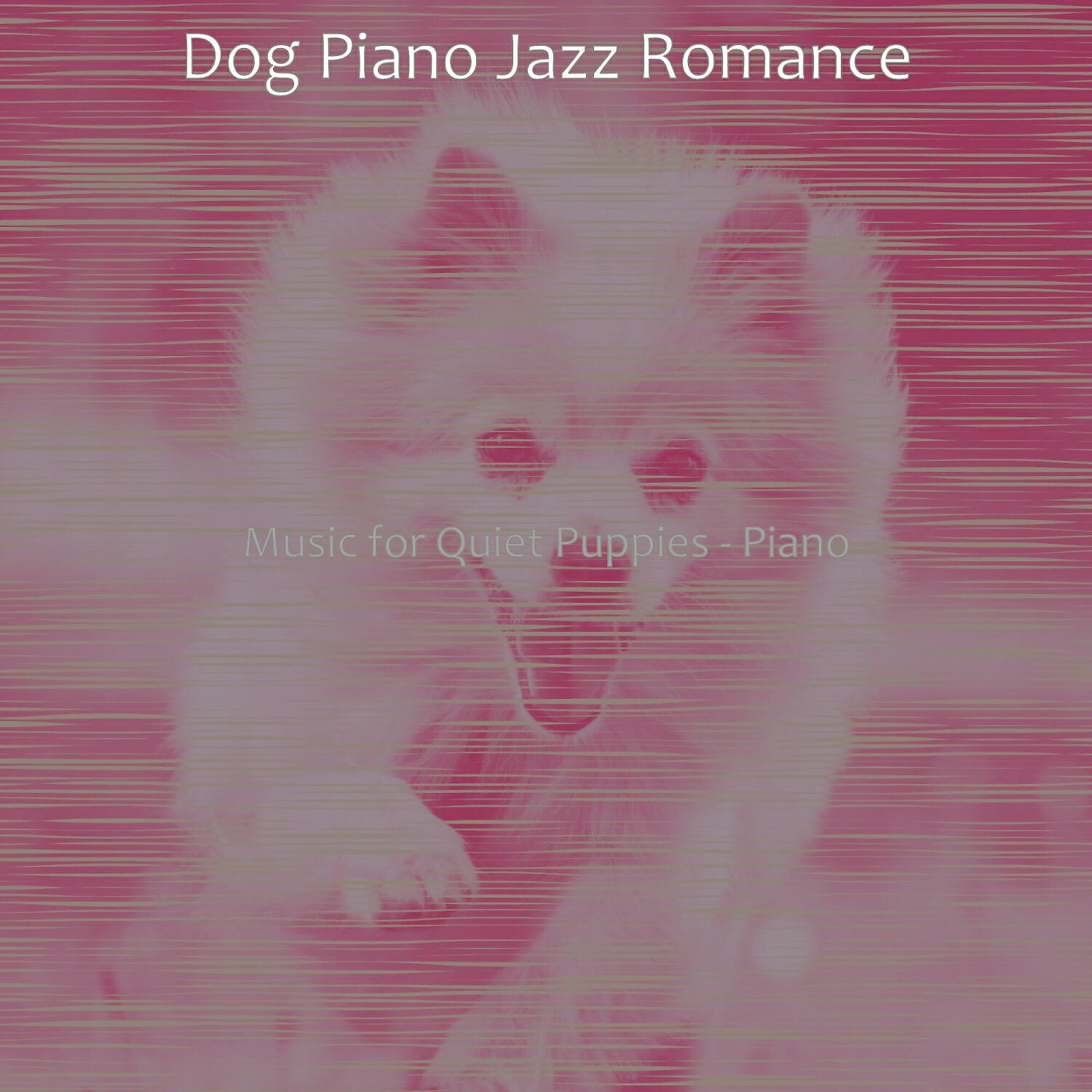 Dog Piano Jazz Romance - Spectacular Solo Piano Jazz - Vibe for Separation Anxiety