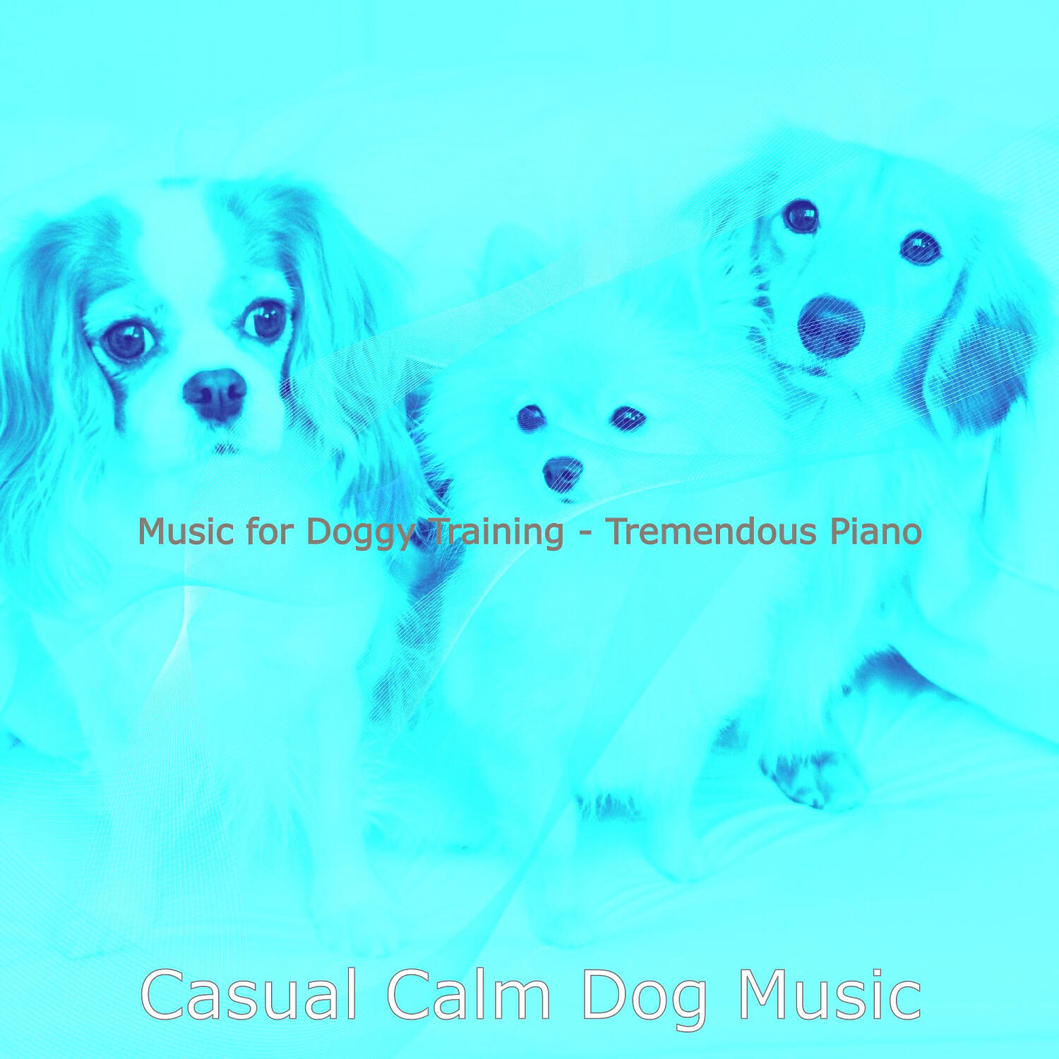 Casual Calm Dog Music - Deluxe Walking Doggies