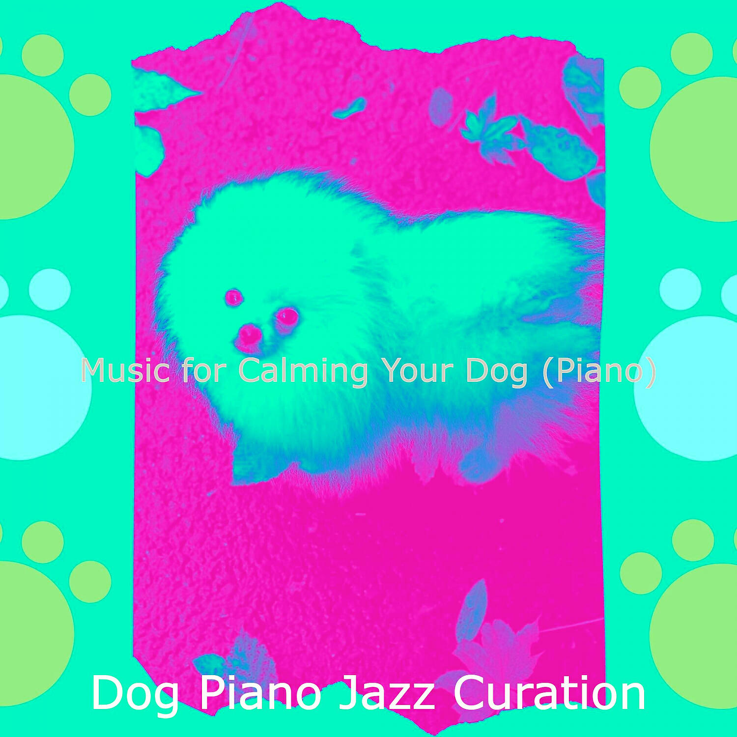 Dog Piano Jazz Curation - Fantastic Backdrops for Keeping Dogs Relaxed