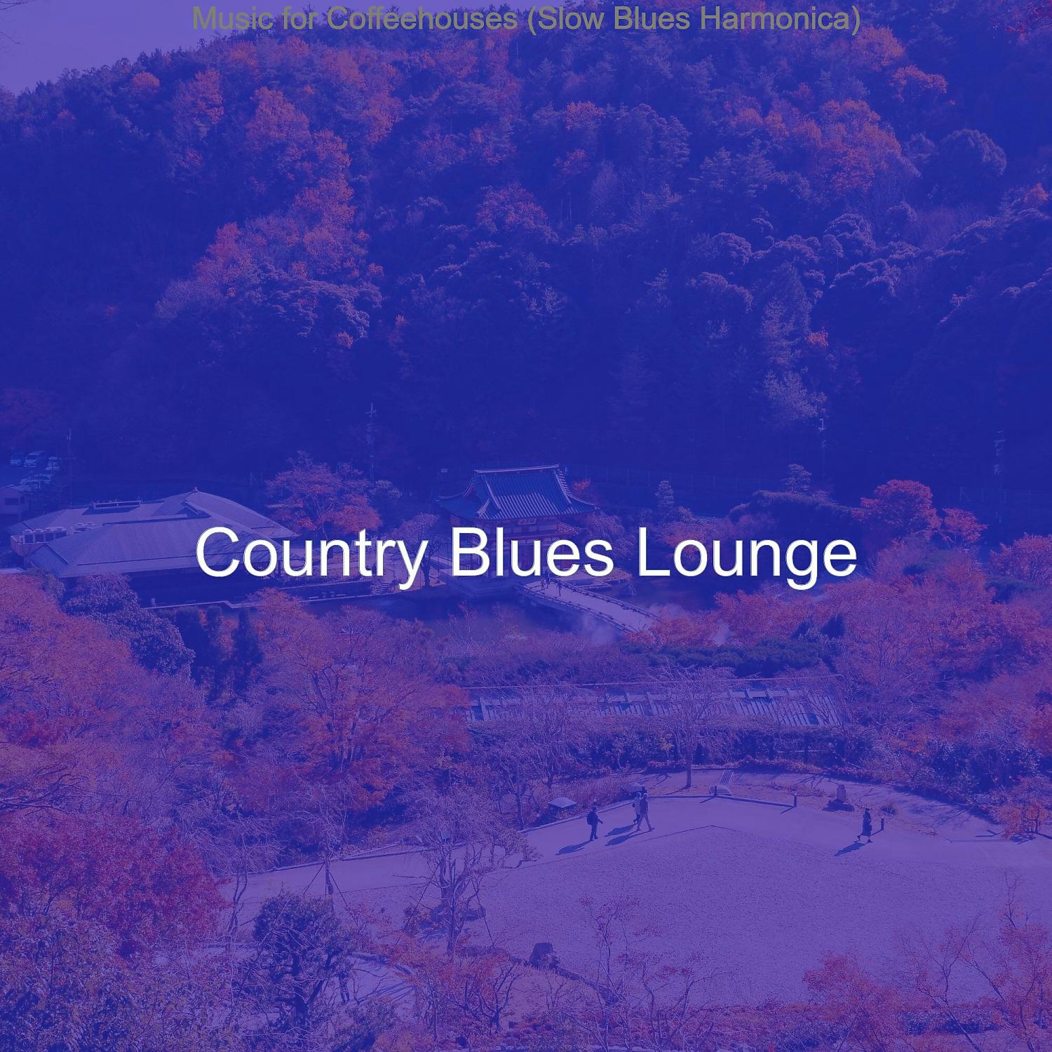 Постер альбома Music for Coffeehouses (Slow Blues Harmonica)