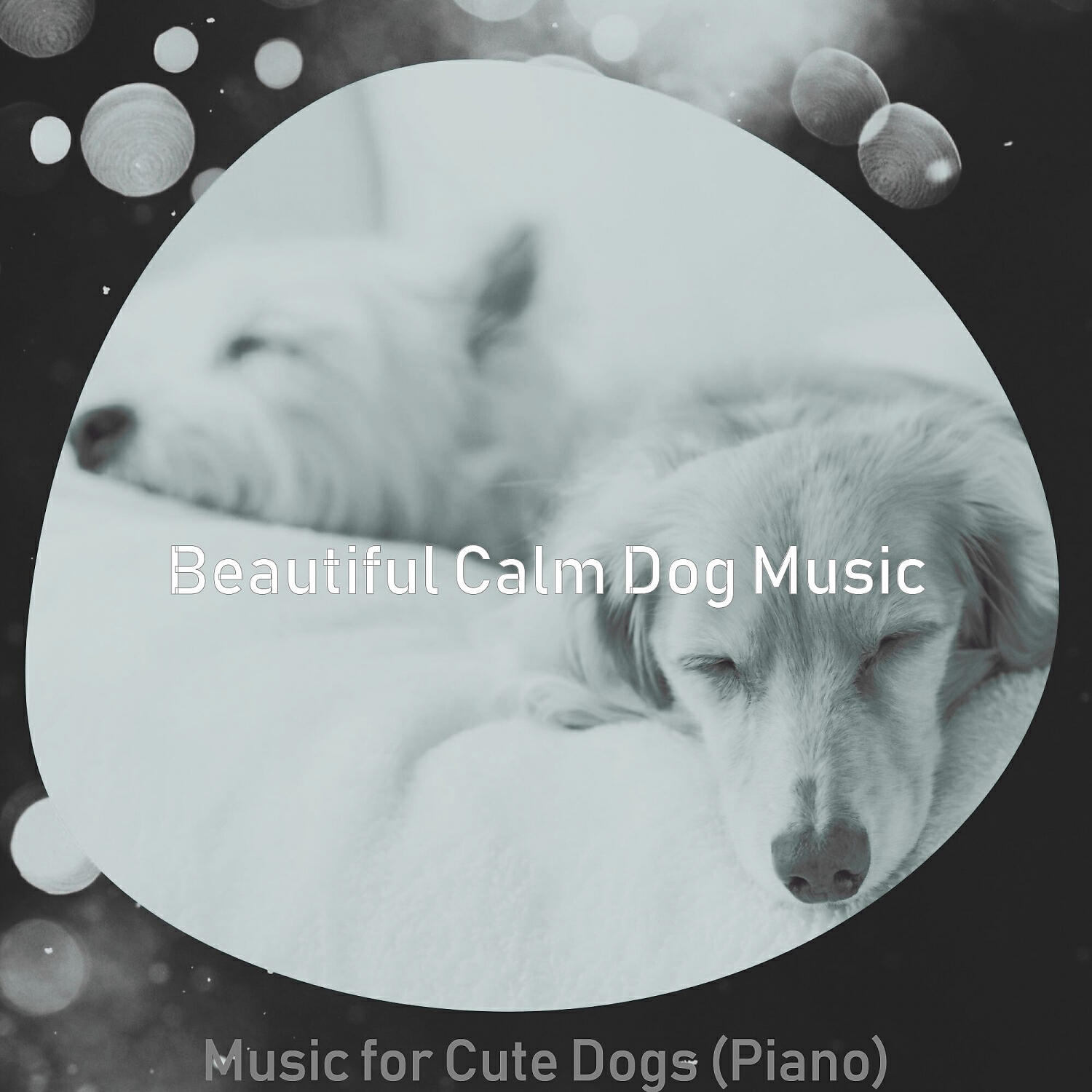 Beautiful Calm Dog Music - Inspired Solo Piano Jazz - Vibe for Calming Pups