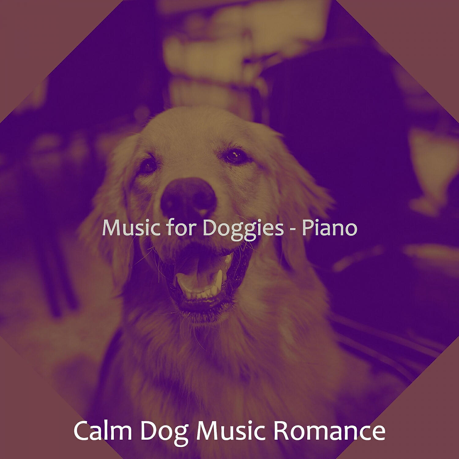 Calm Dog Music Romance - Entertaining Solo Piano Jazz - Vibe for Relaxing Dogs