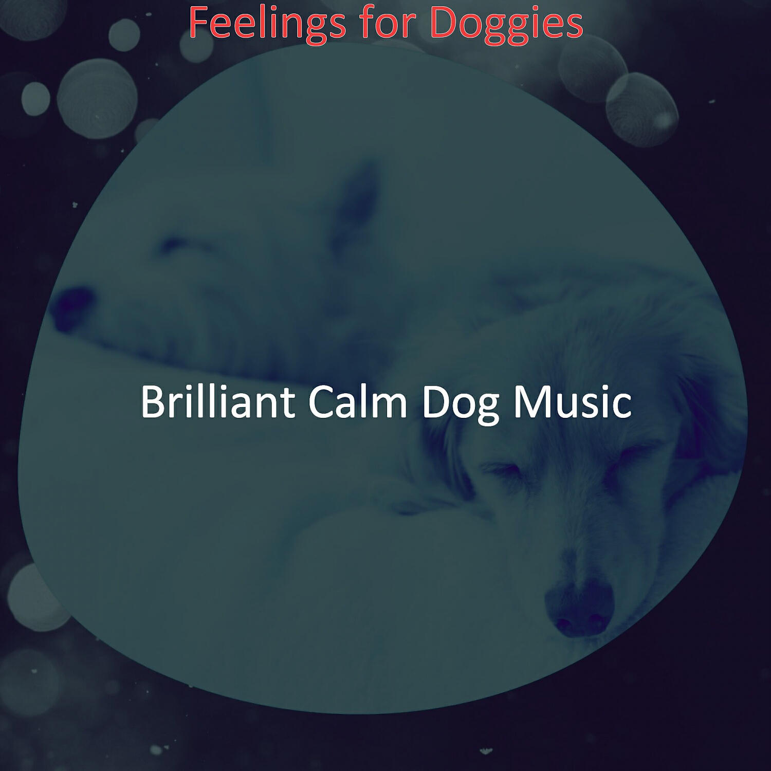 Brilliant Calm Dog Music - Uplifting Ambiance for Cute Dogs