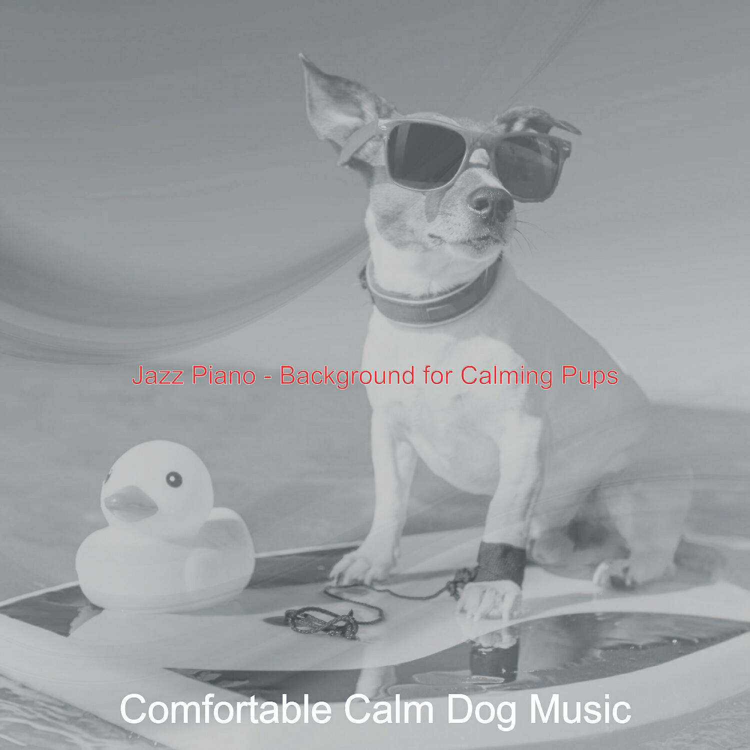 Comfortable Calm Dog Music - Mysterious Solo Piano Jazz - Vibe for Calming Pups