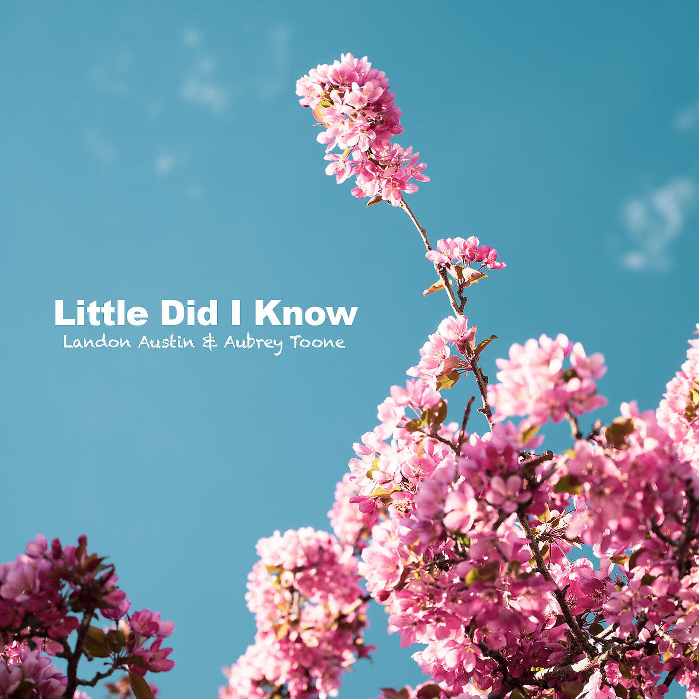 Landon Austin - Little Did I Know (Acoustic)