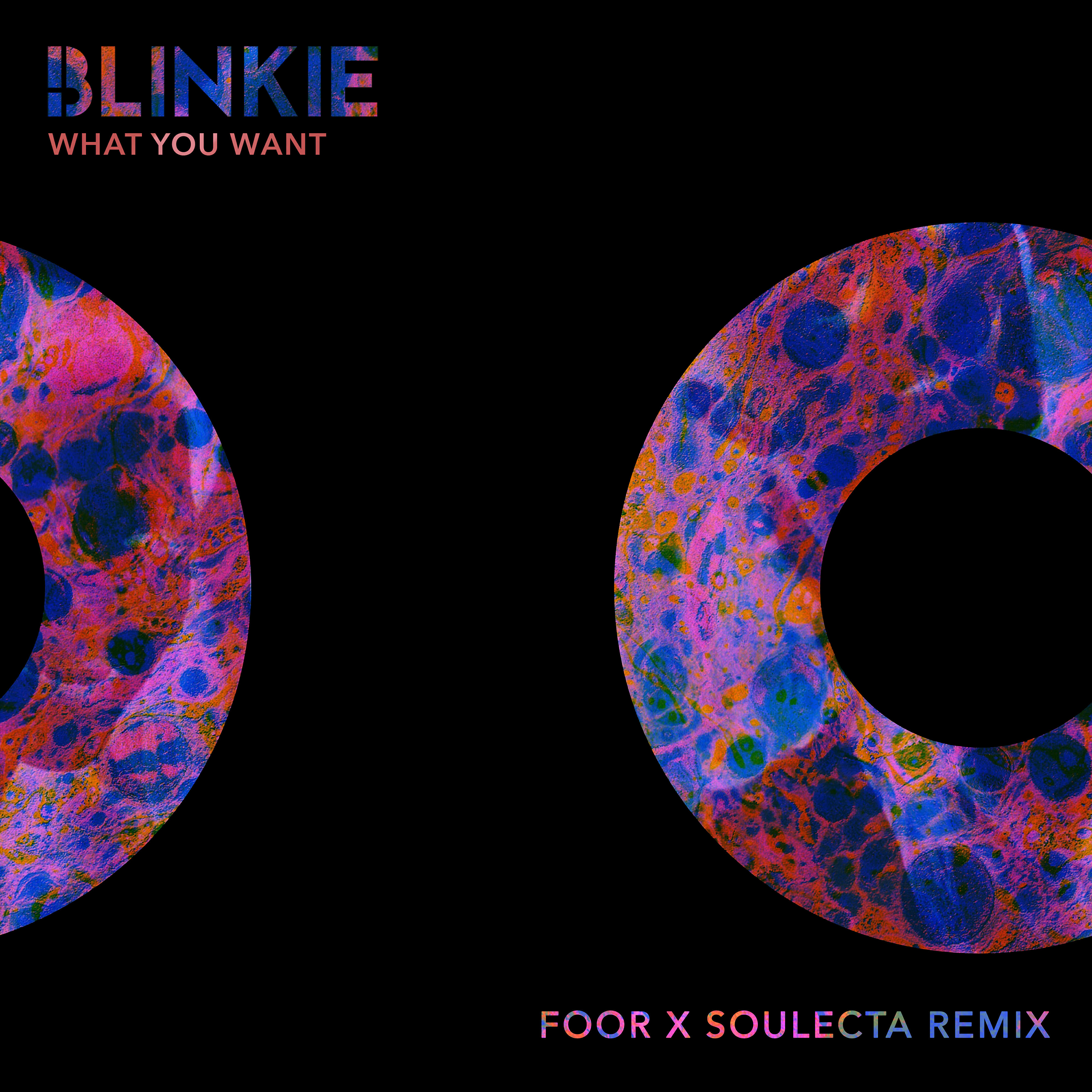 Blinkie - What You Want (FooR x Soulecta Remix)