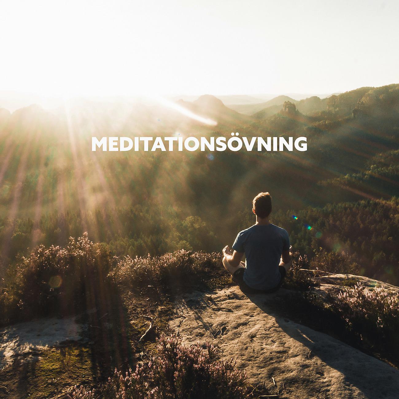 Постер альбома Meditationsövning