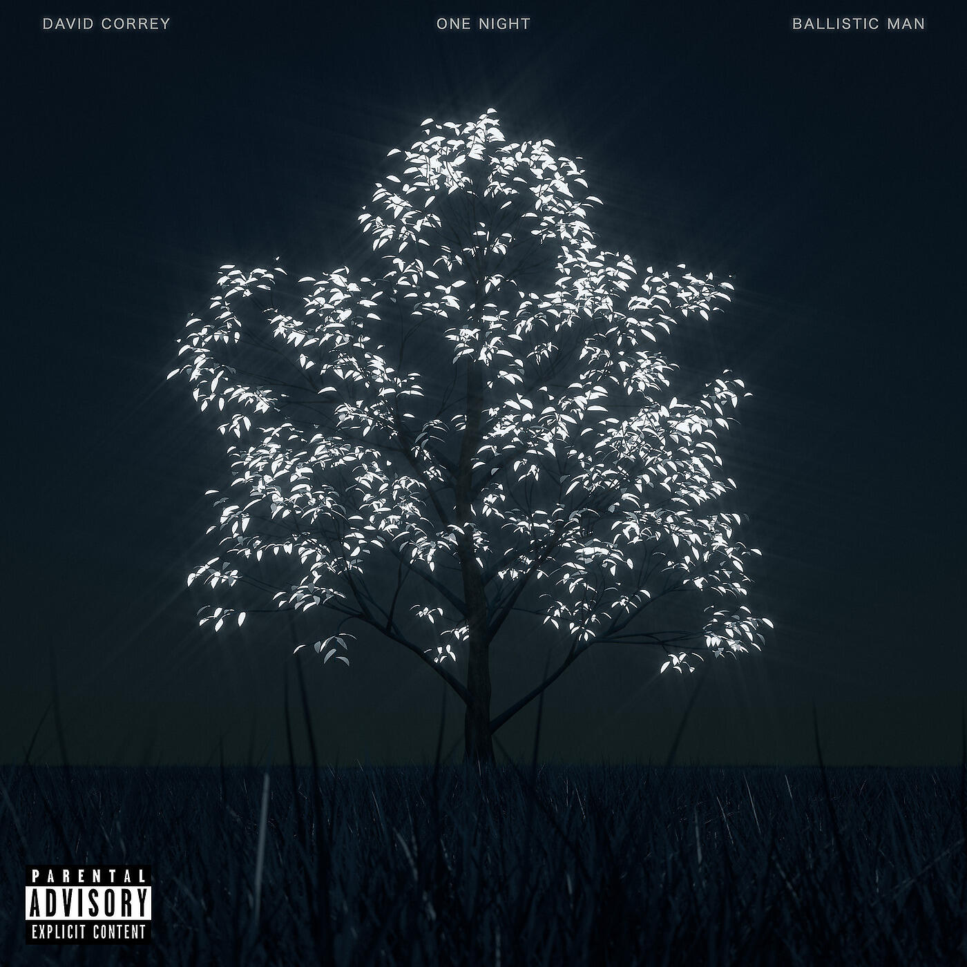 David Correy - One Night