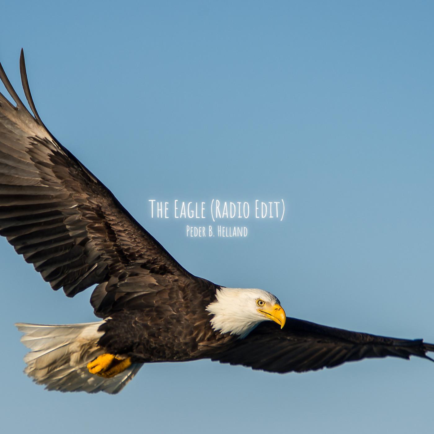 Постер альбома The Eagle (Radio Edit)