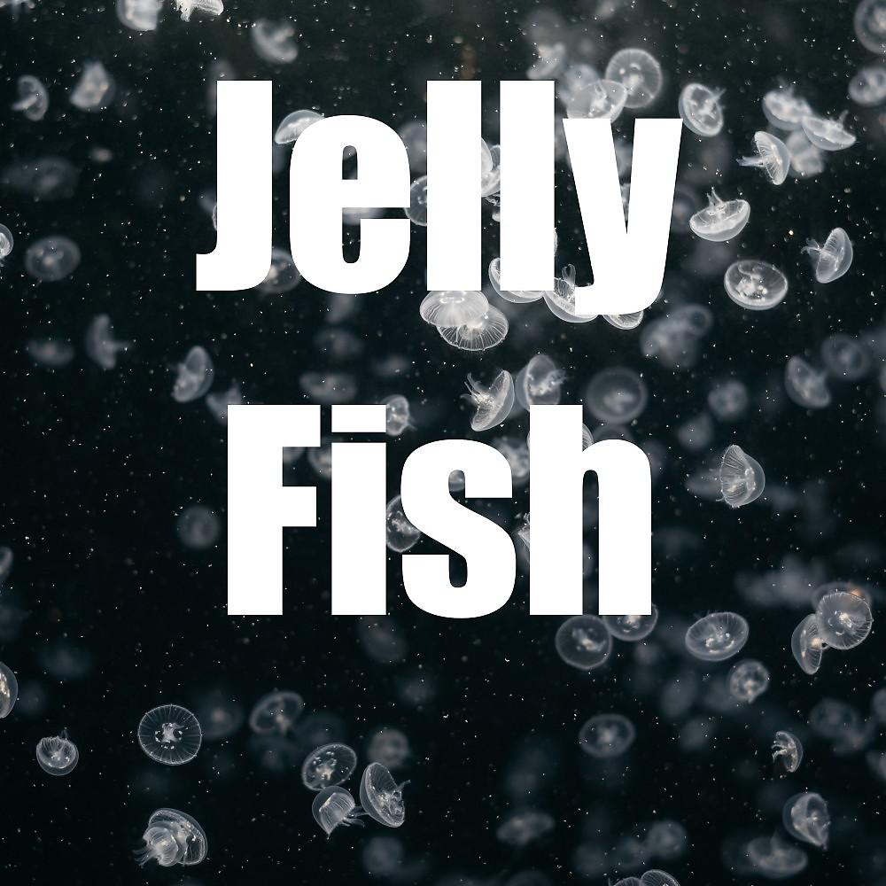 Постер альбома Jelly Fish