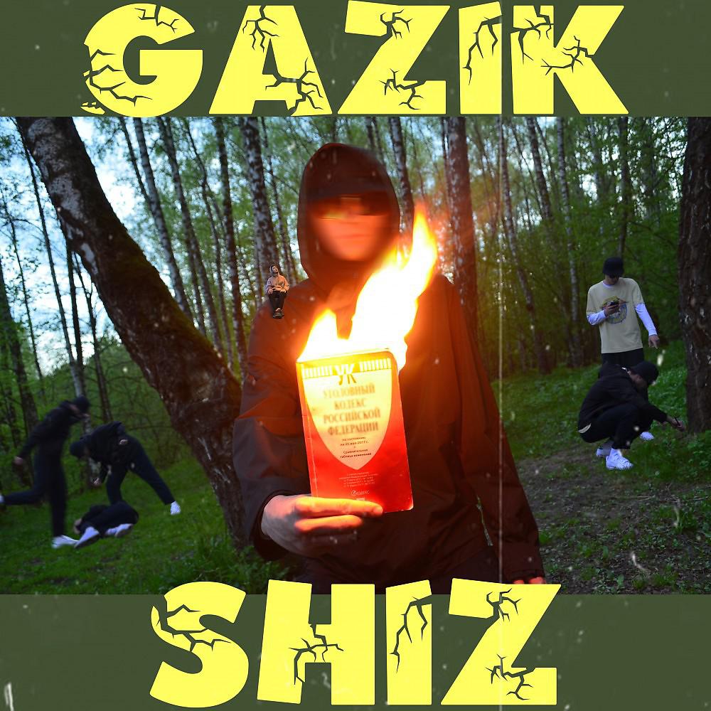 Постер альбома Shiz