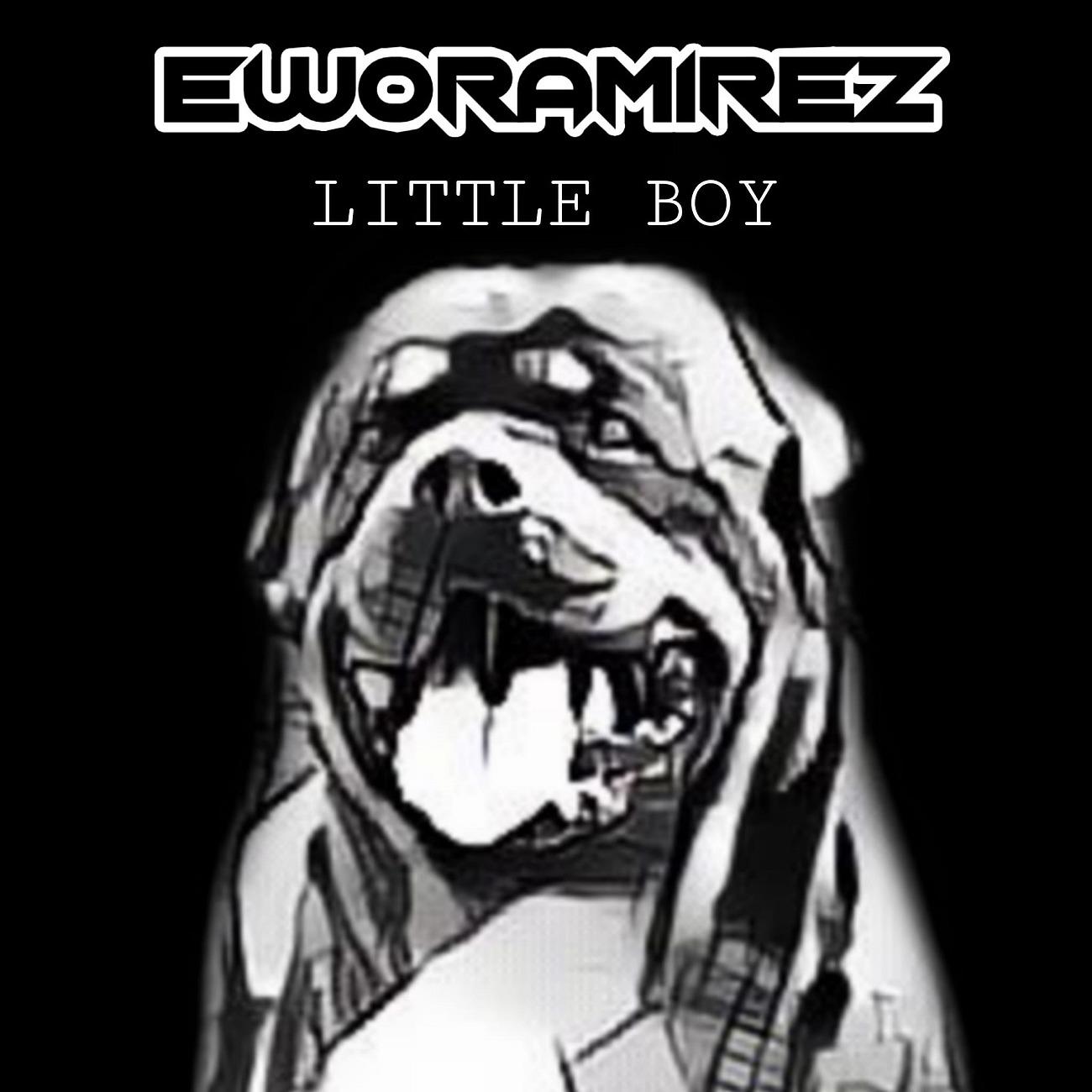 Постер альбома Little Boy
