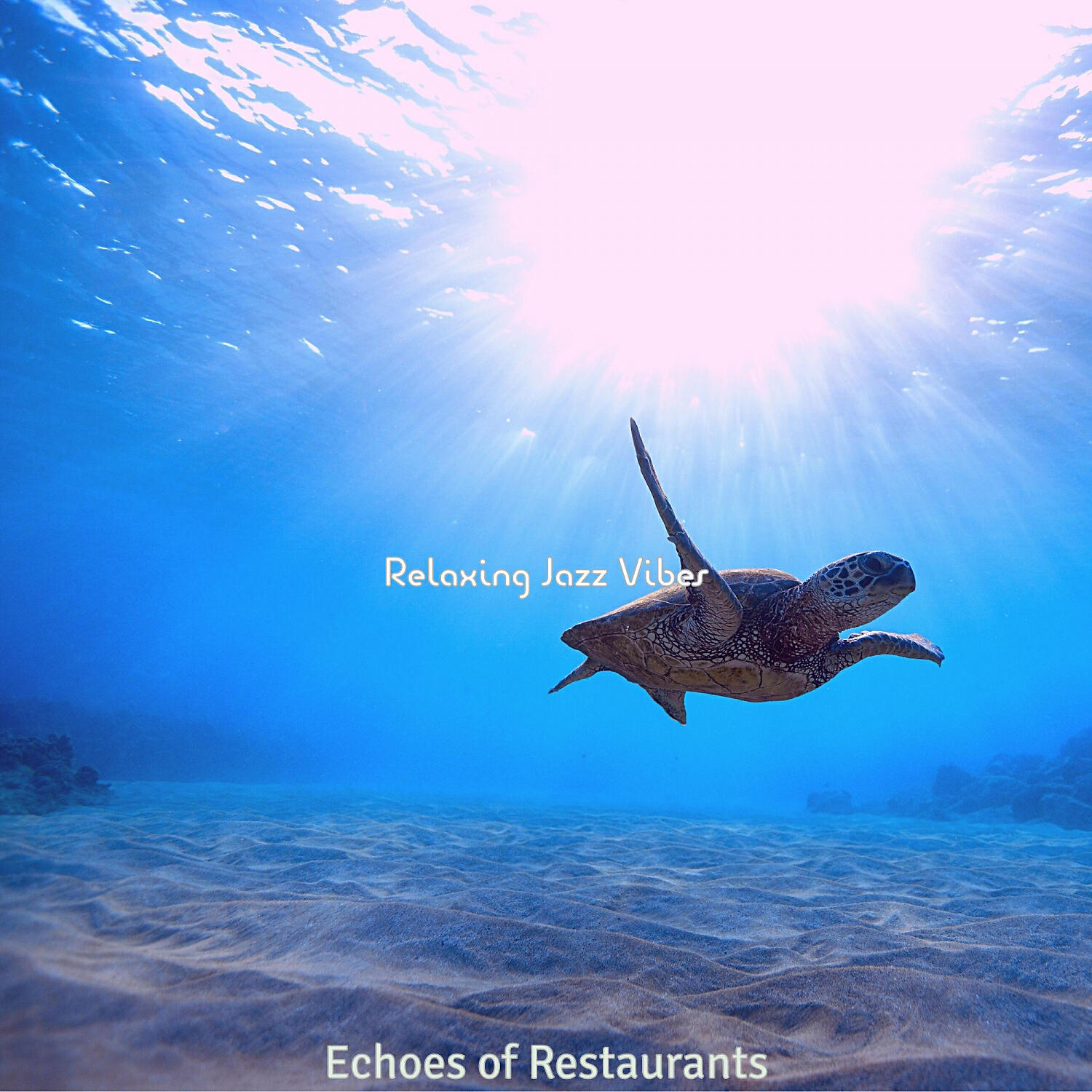 Relaxing Jazz Vibes - Lively Saxophone Bossa Nova - Vibe for Vacations