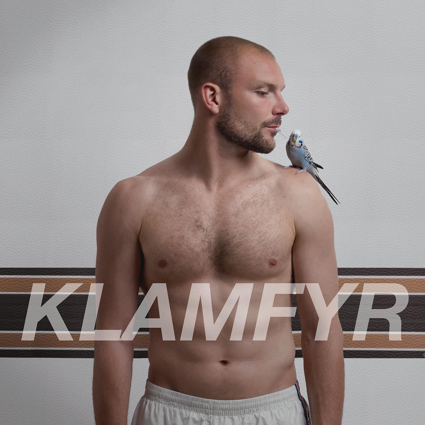 Постер альбома Klamfyr