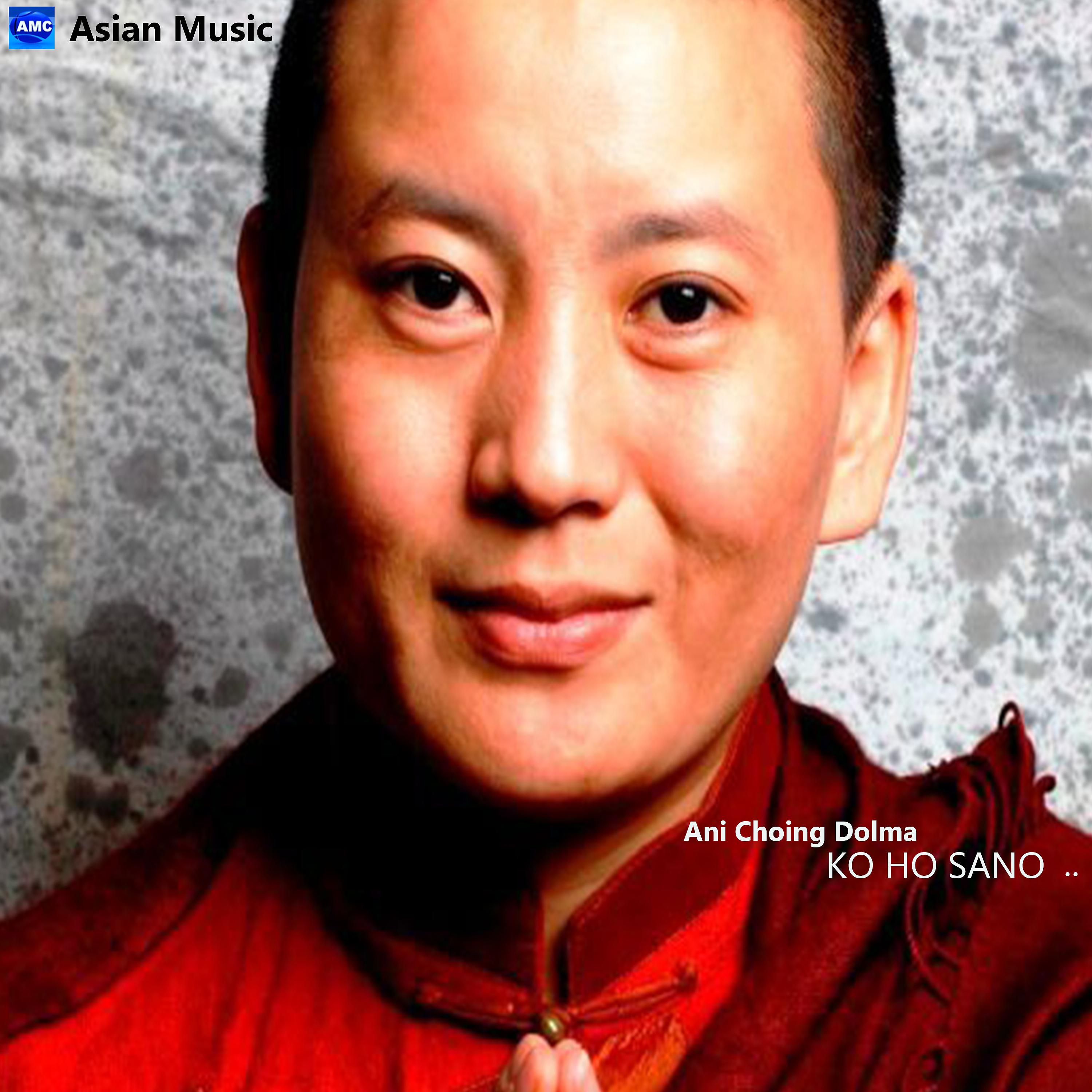 Постер альбома Ko Ho Sano - Single