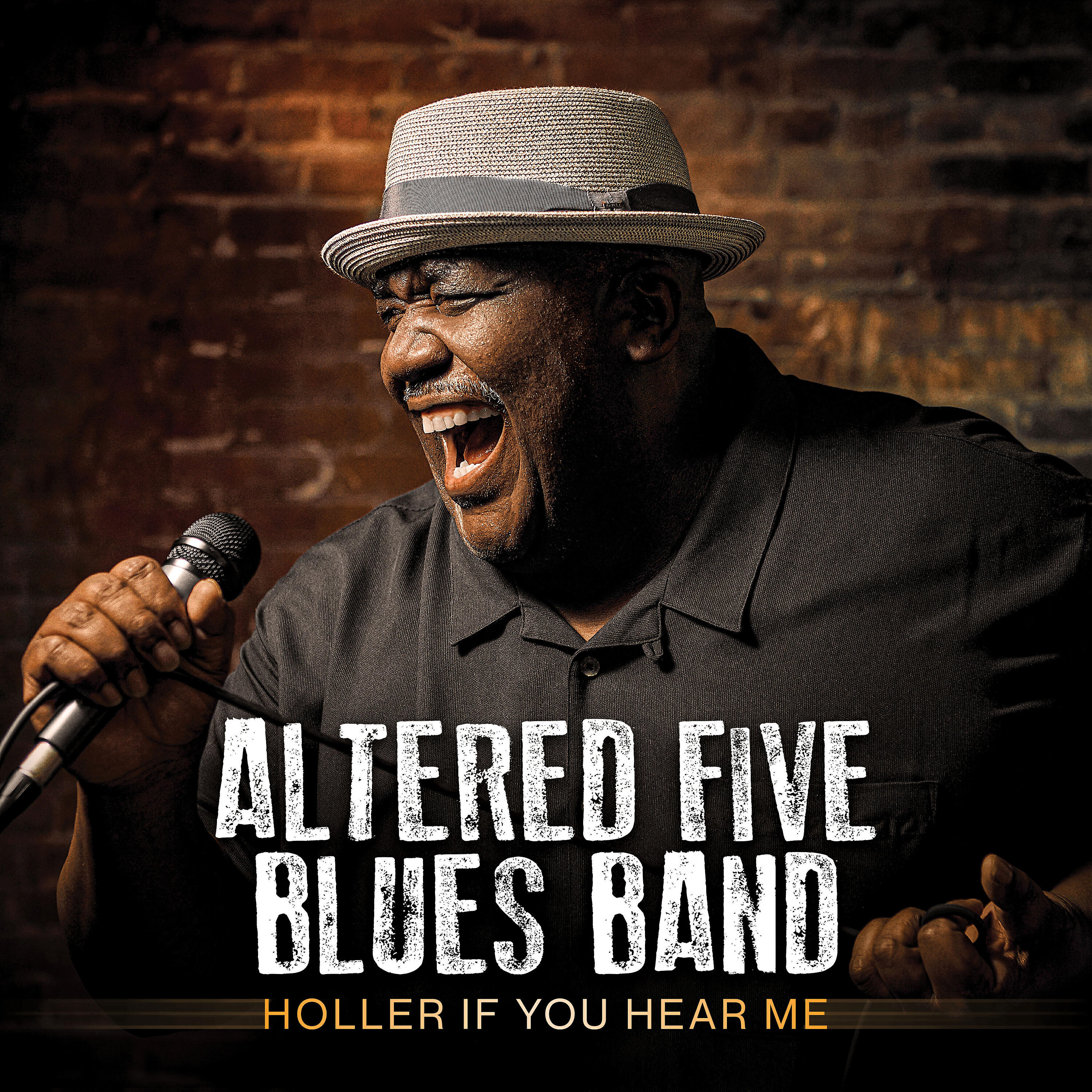 Altered Five Blues Band - Full Moon, Half Crazy